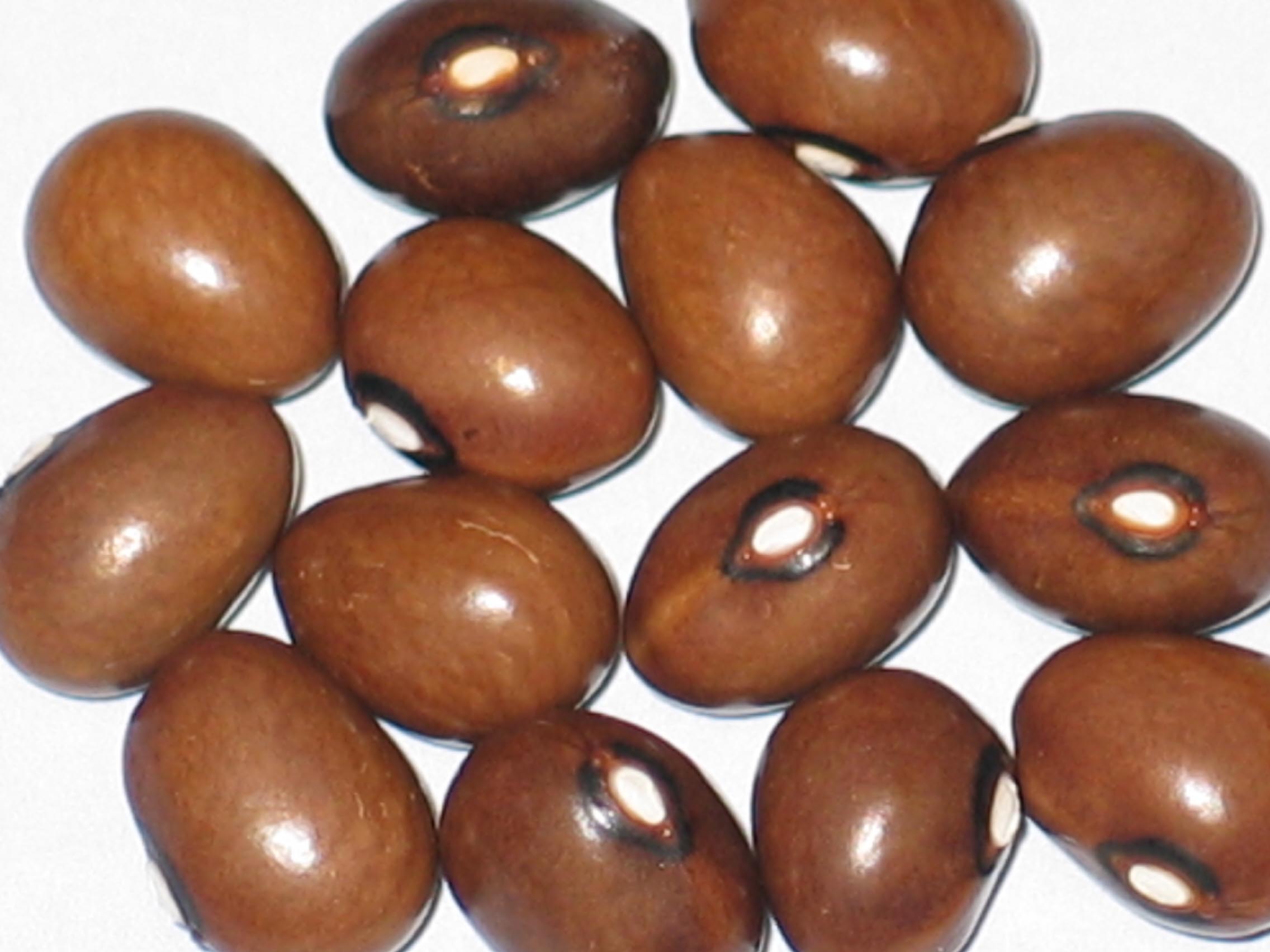 image of Graines de Cafe beans