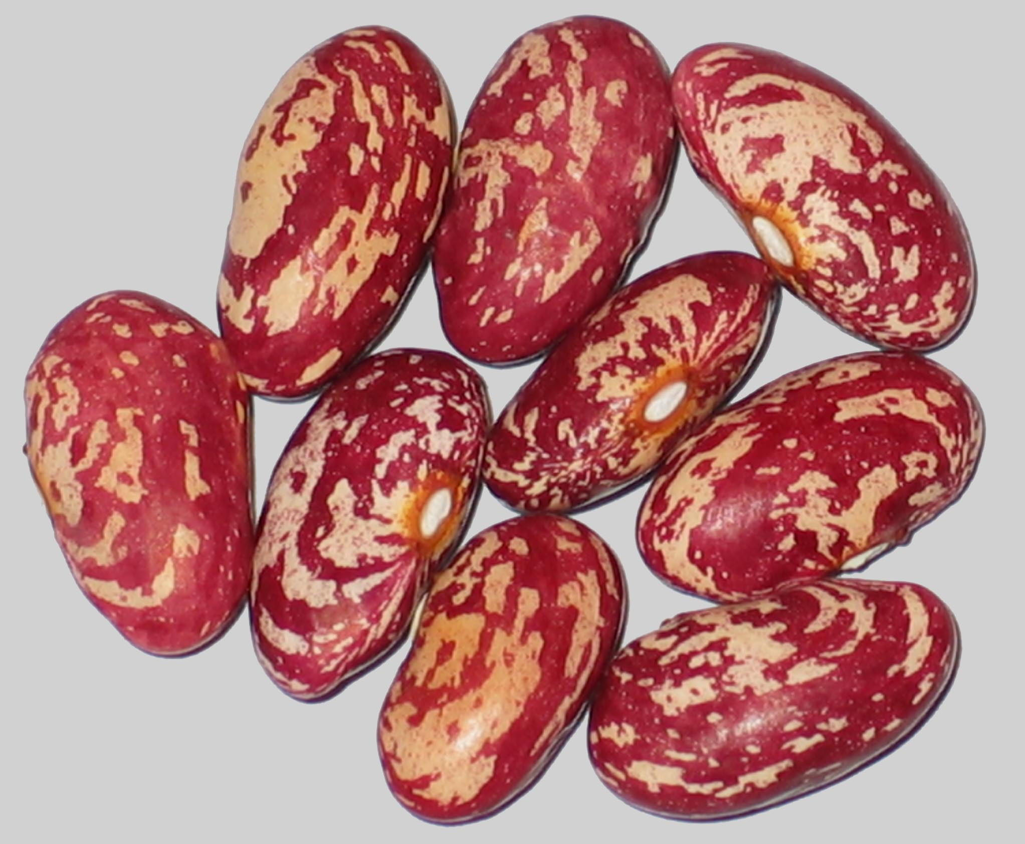 image of Grandma's Shell beans
