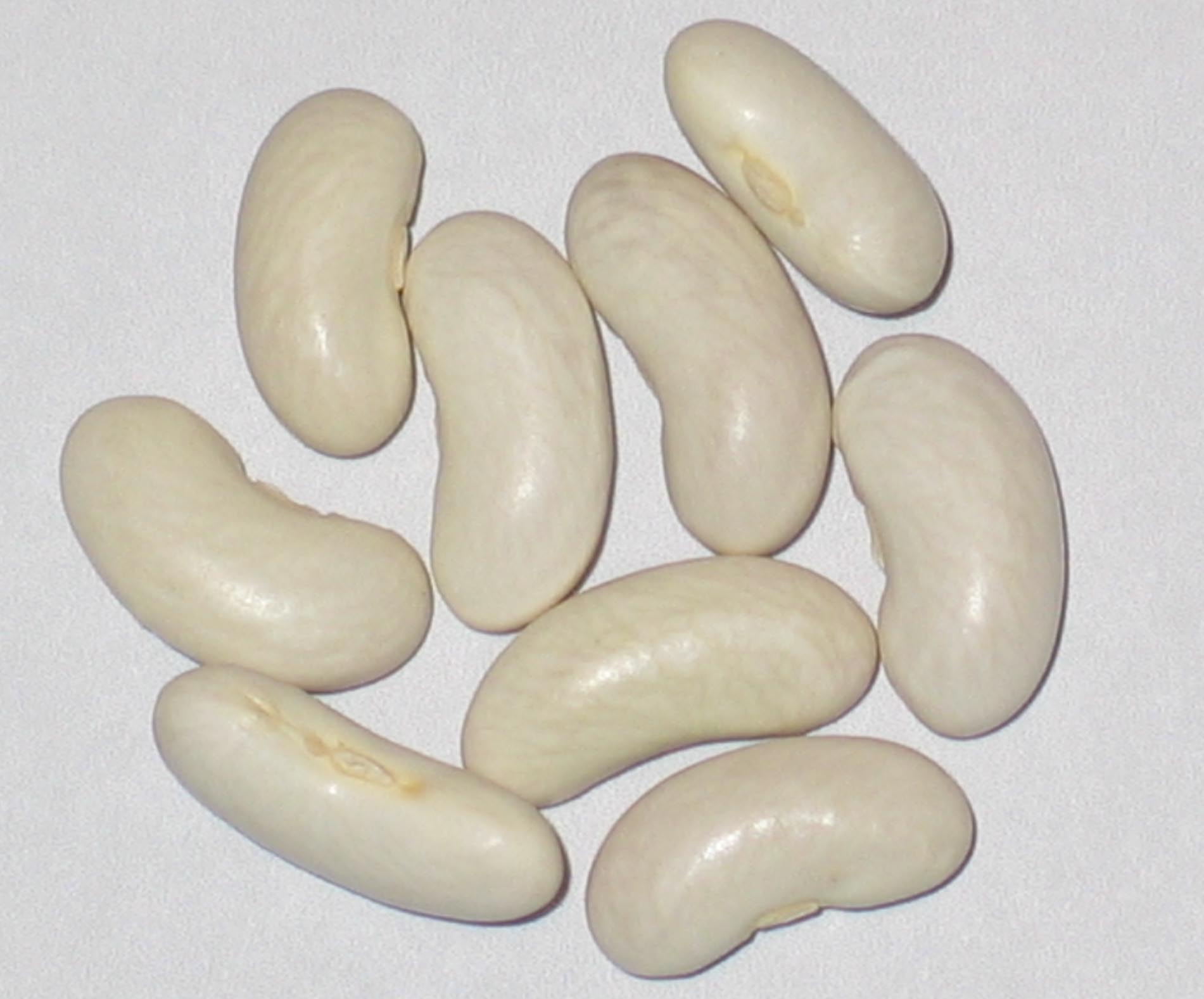 image of Greencrop beans