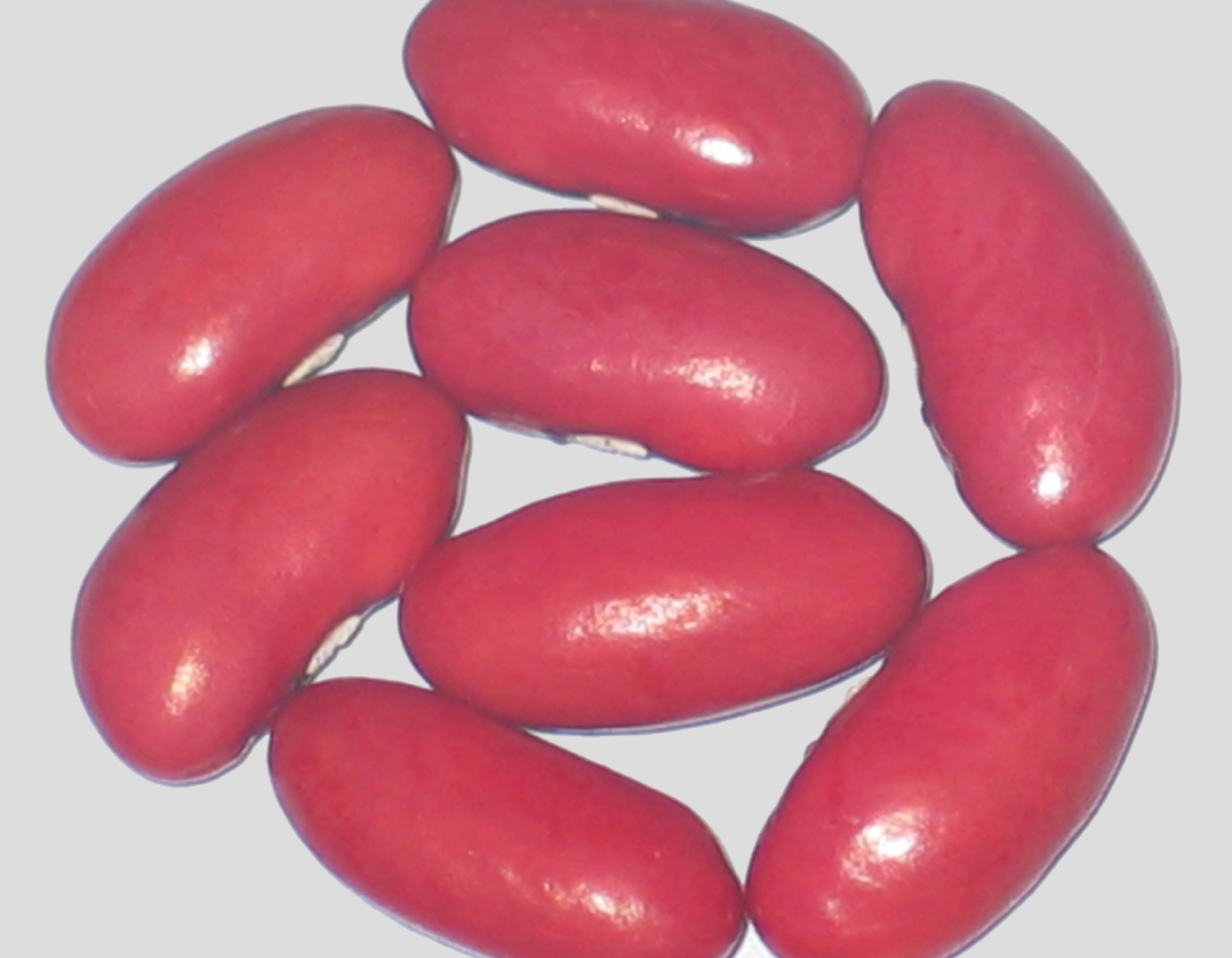 image of Indian beans