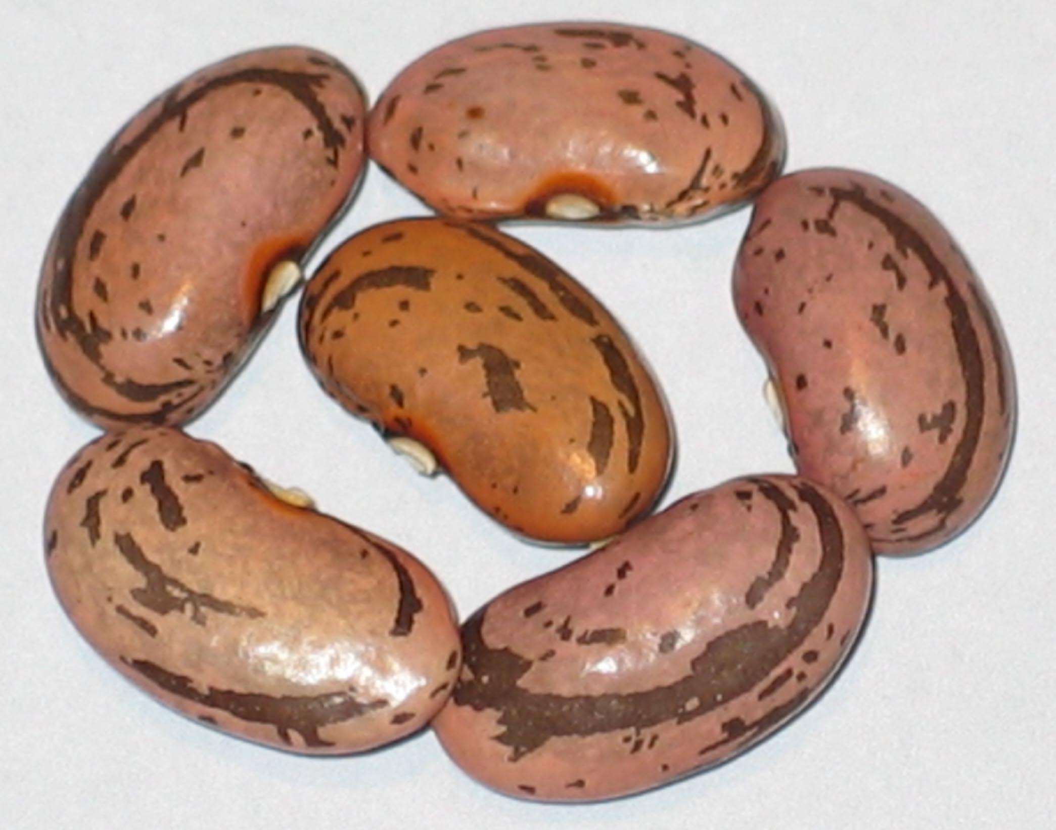 image of Jeminez beans
