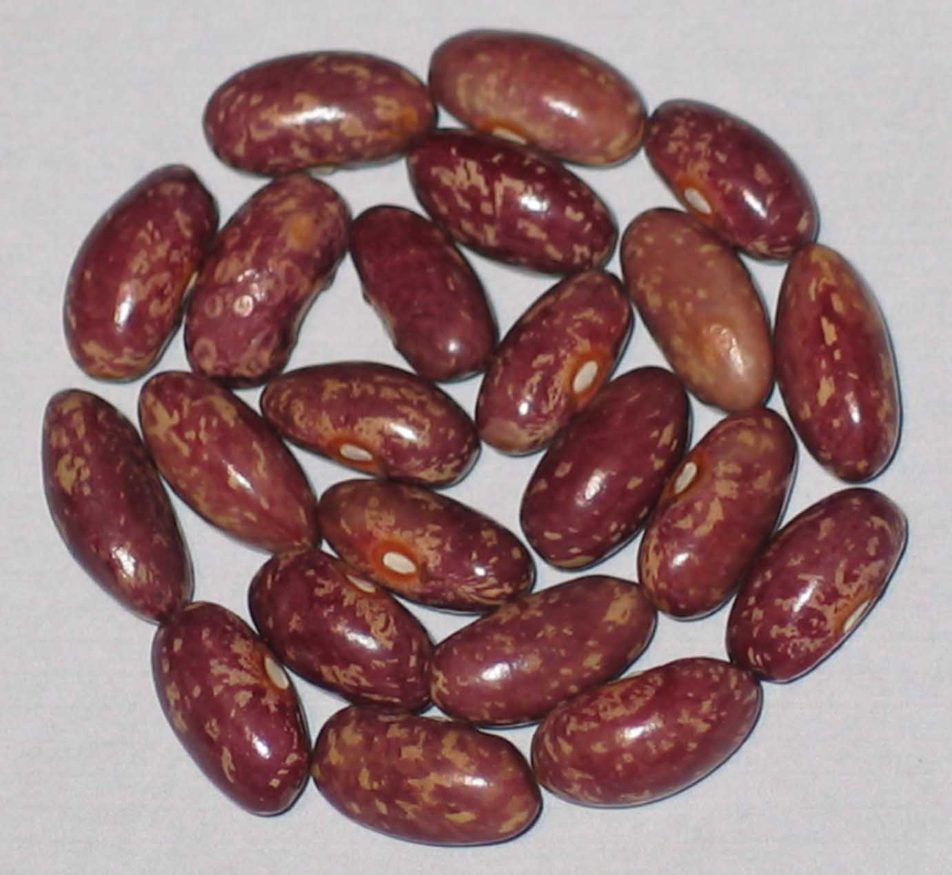 image of Maria Amazilitei beans