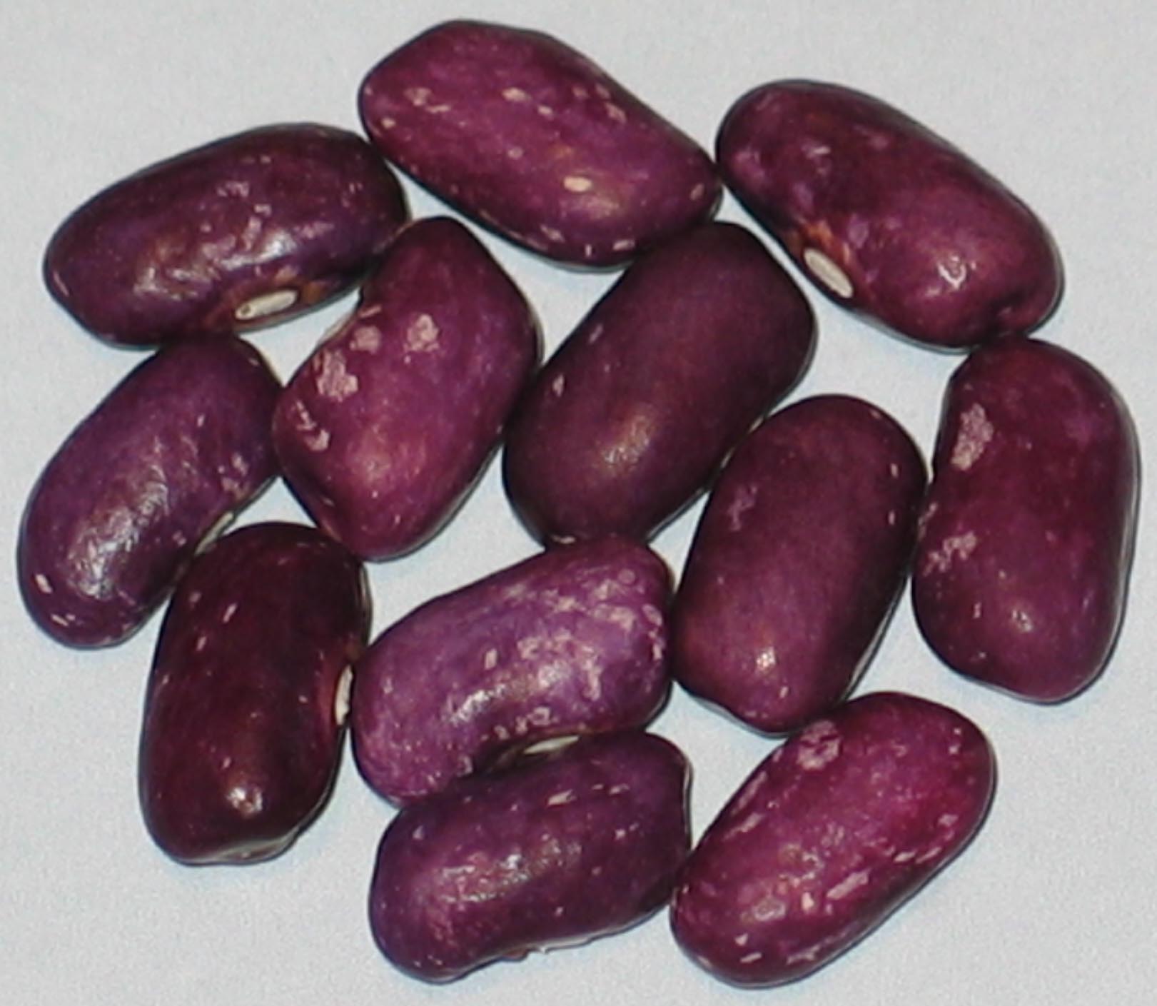 image of Prince Purple beans