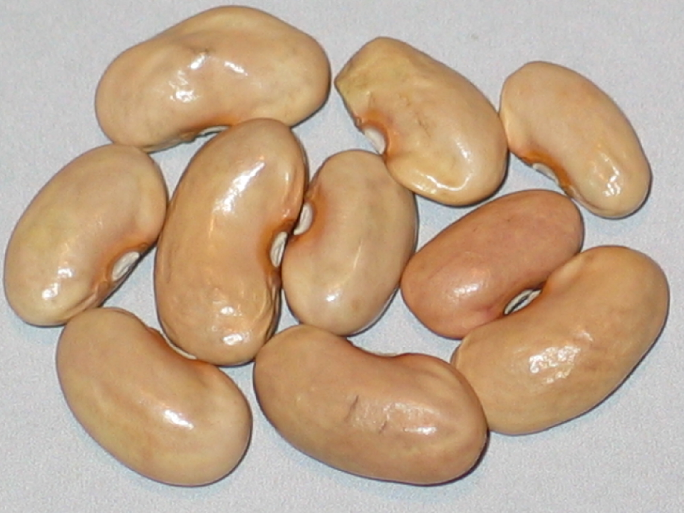 image of Aksai beans