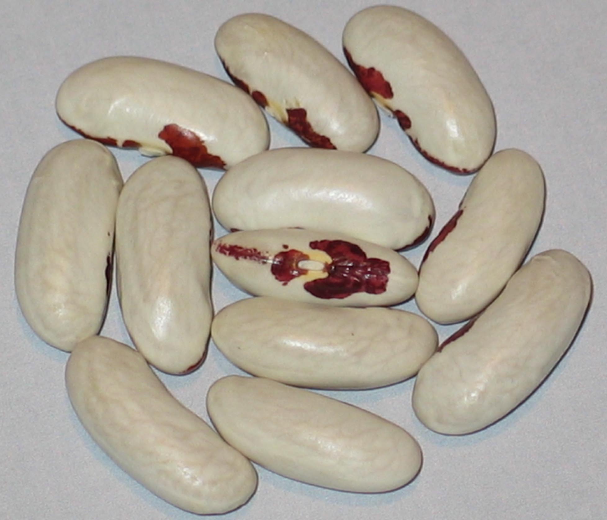 image of Andikove beans