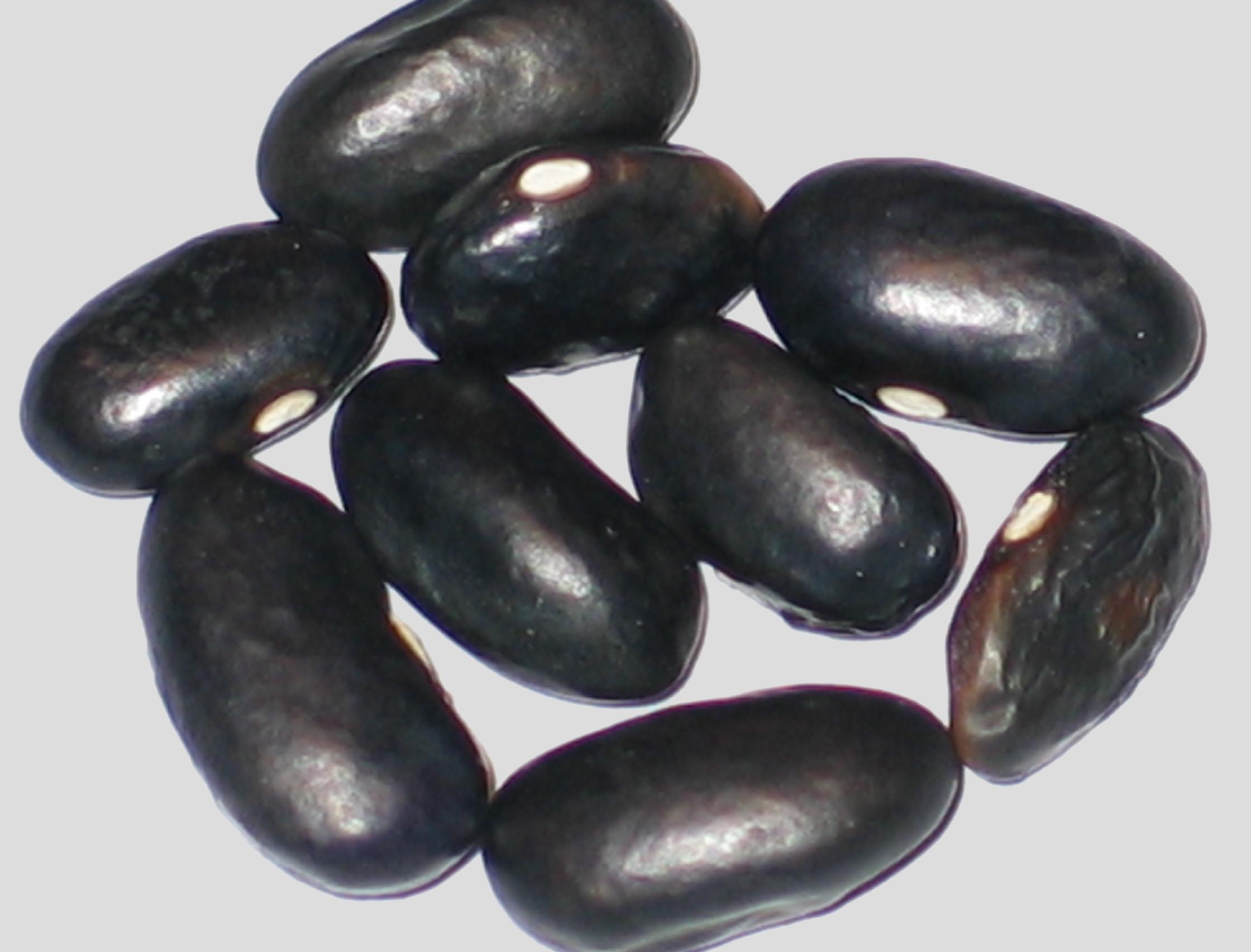 image of Banzala beans