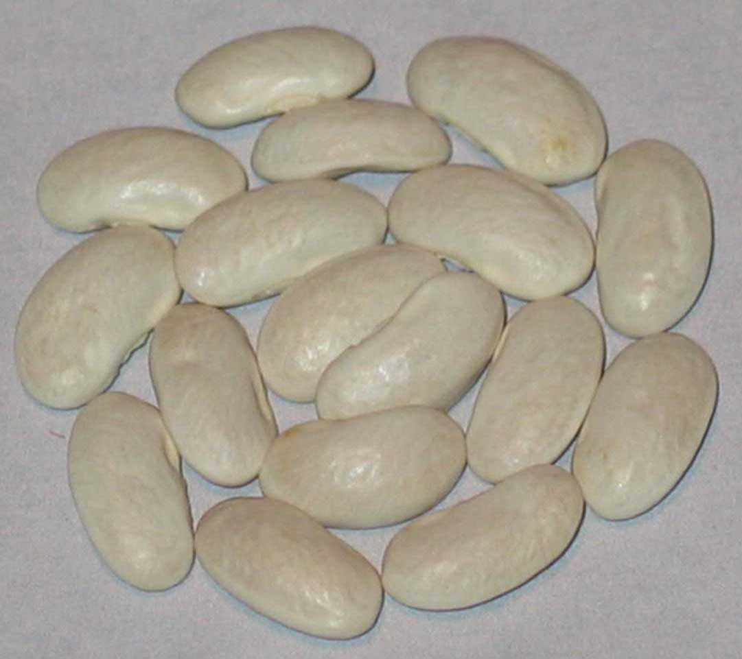 image of Barksdale beans
