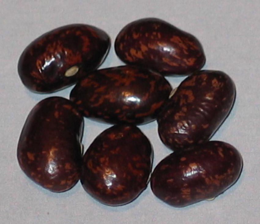 image of Batumi Georgia beans