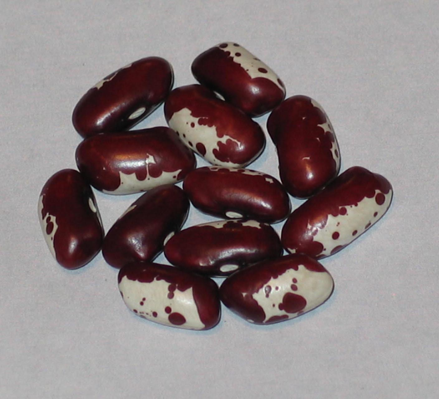 image of Batumi Silk beans