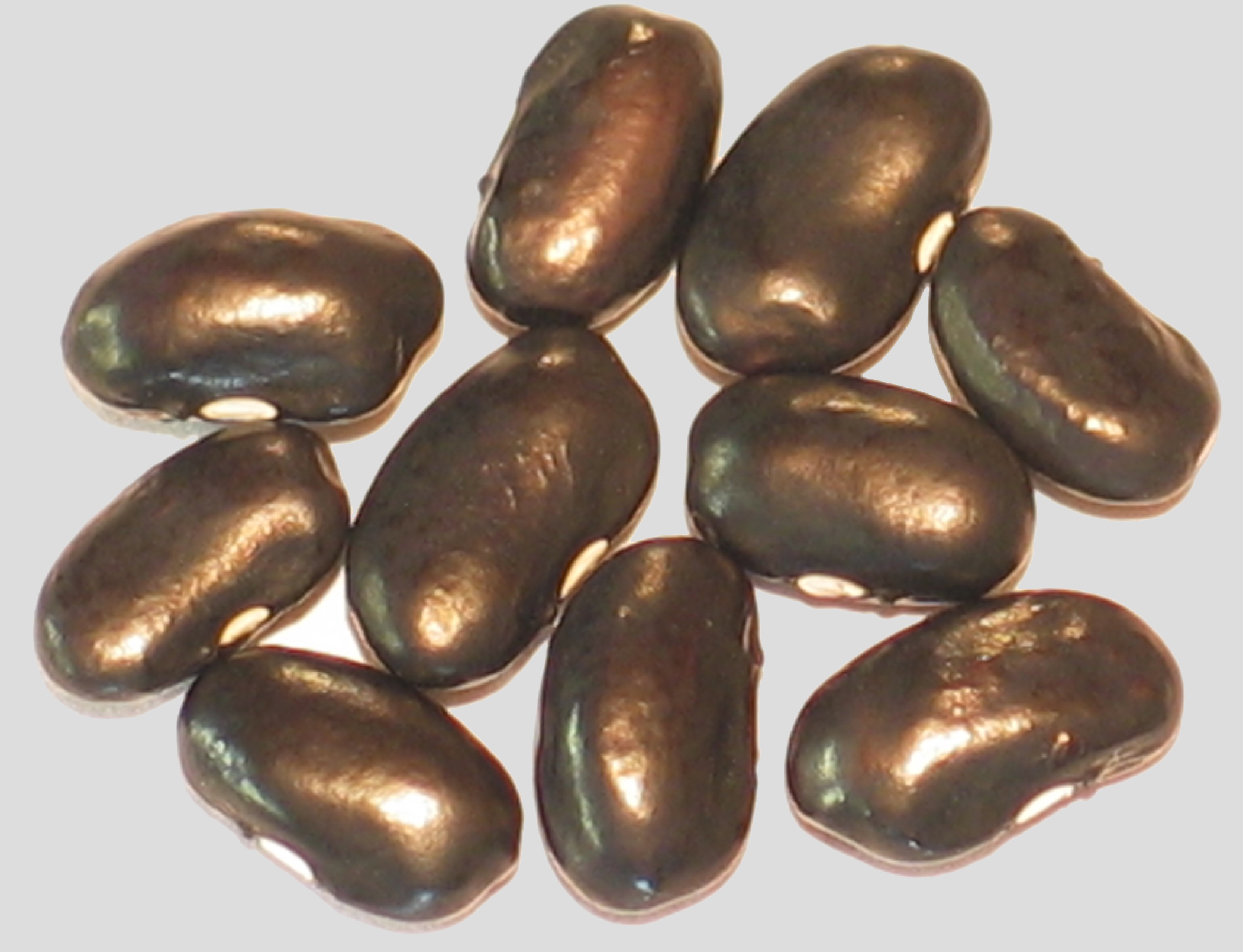 image of Black Super Nova beans