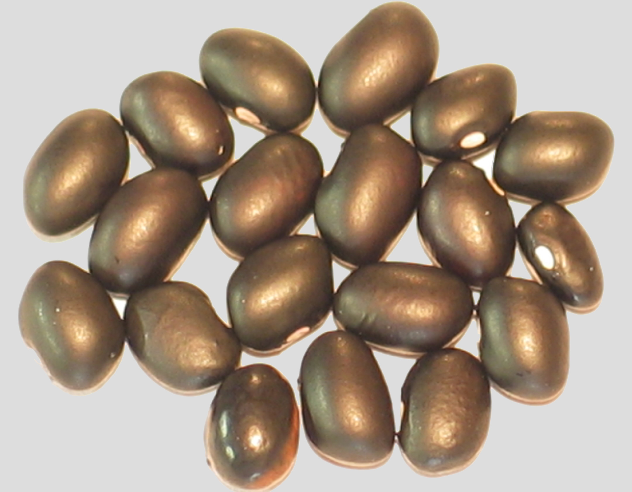 image of Brazilian Black beans