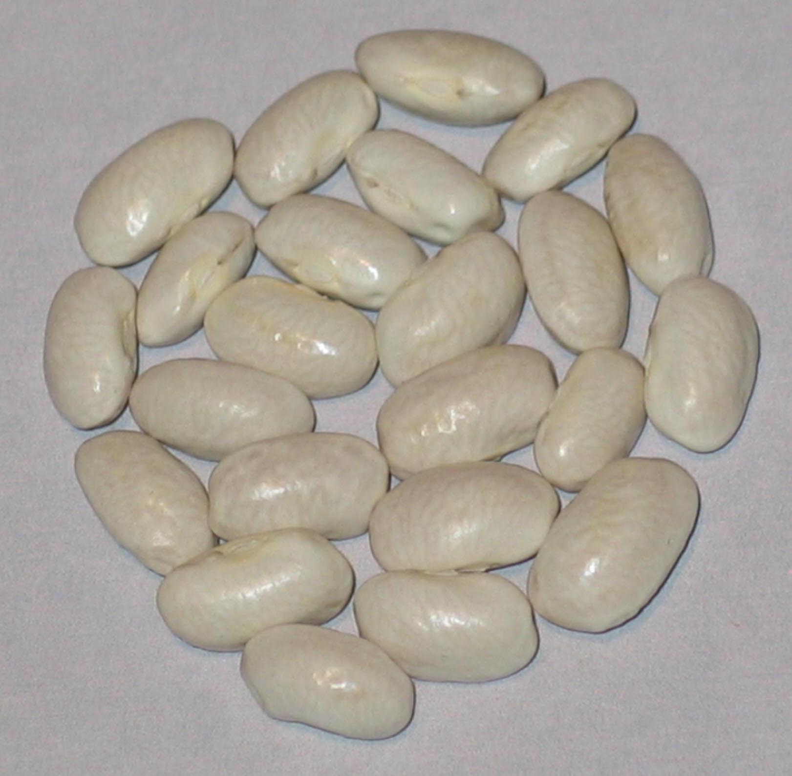 image of Brinker Carrier beans