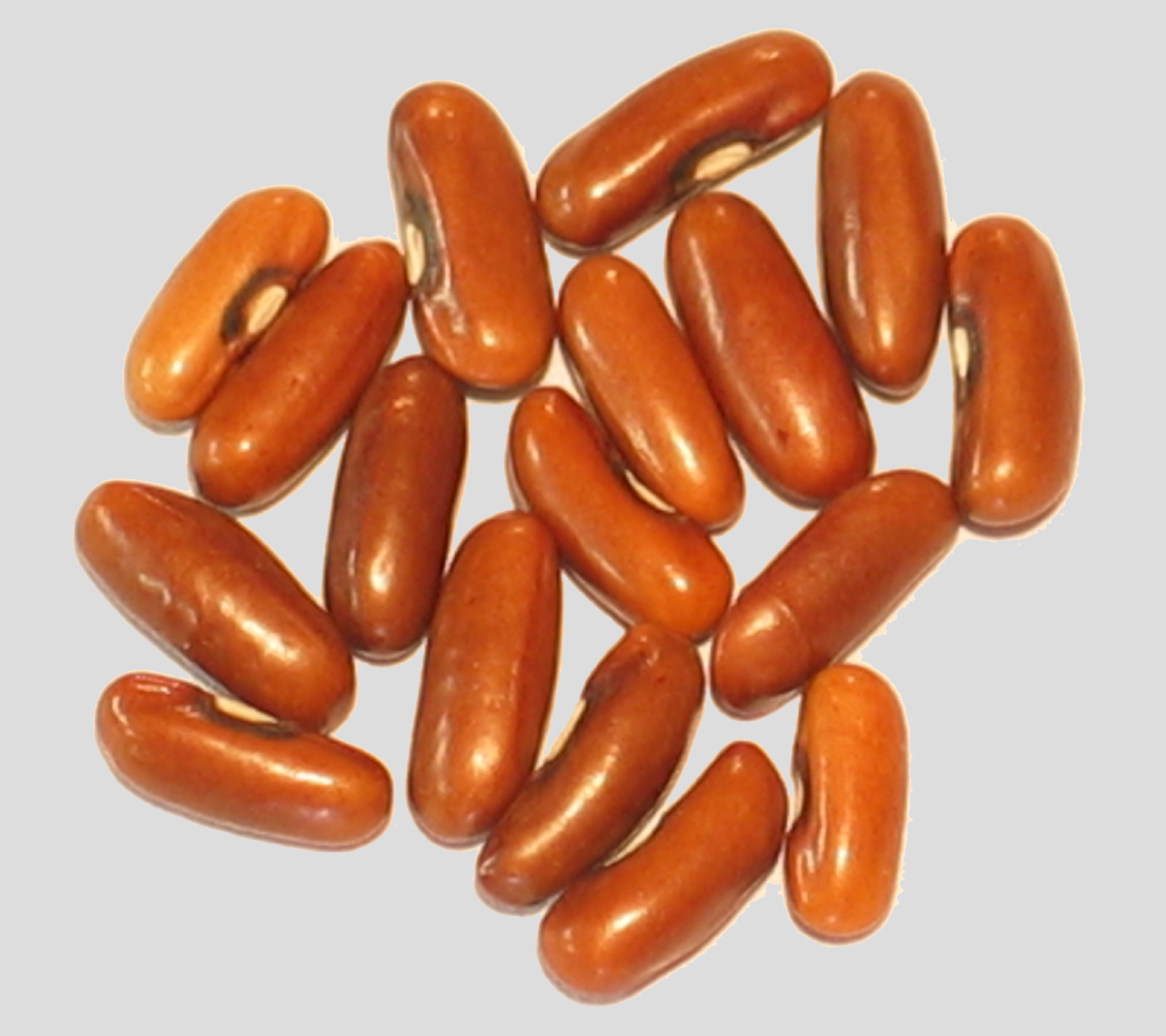 image of Brown Rice beans