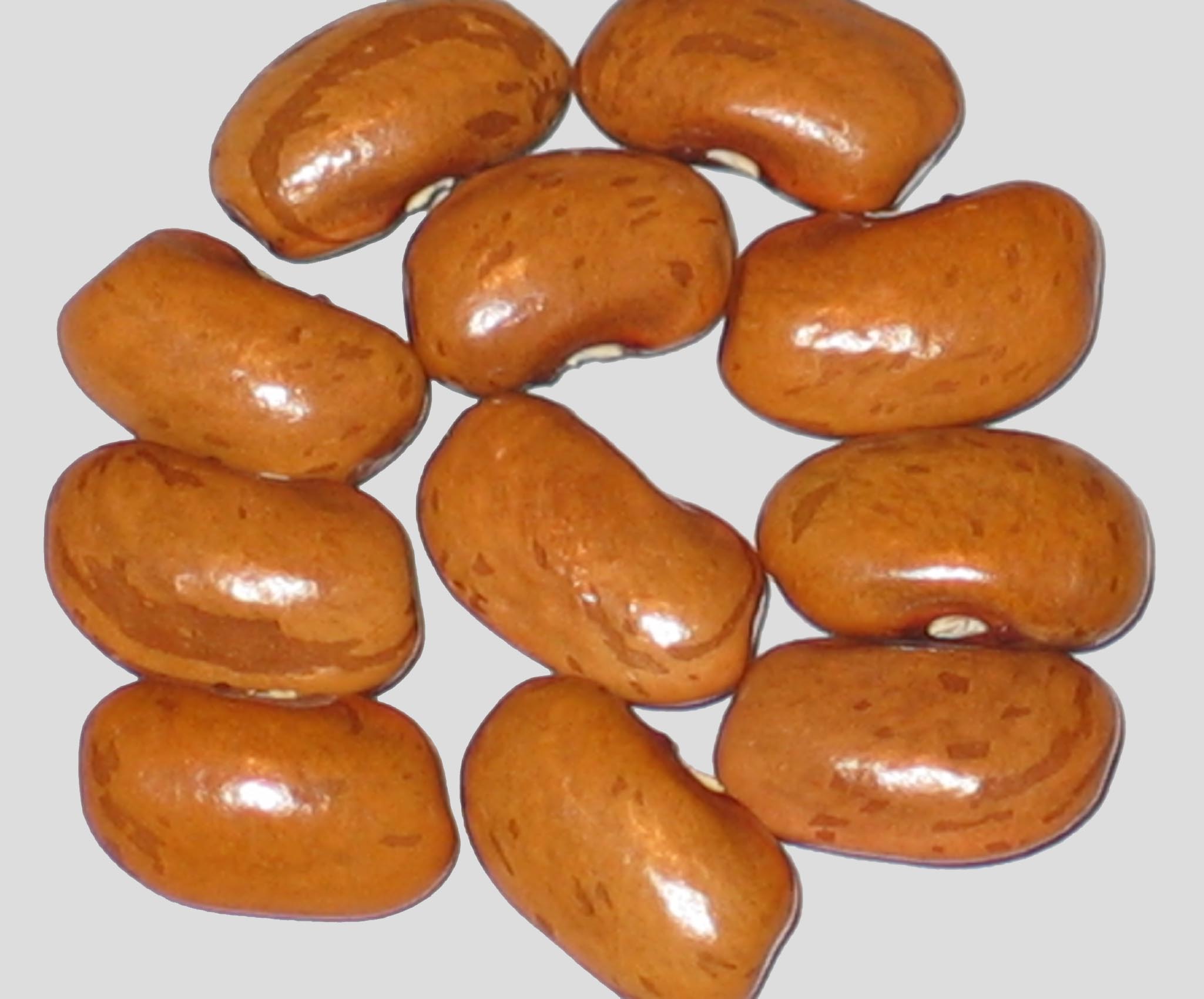 image of Bubble Gum beans