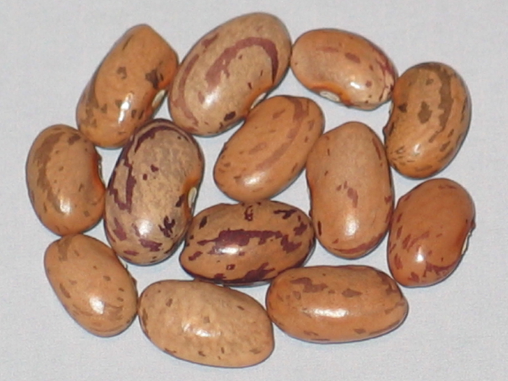 image of Buckeye beans