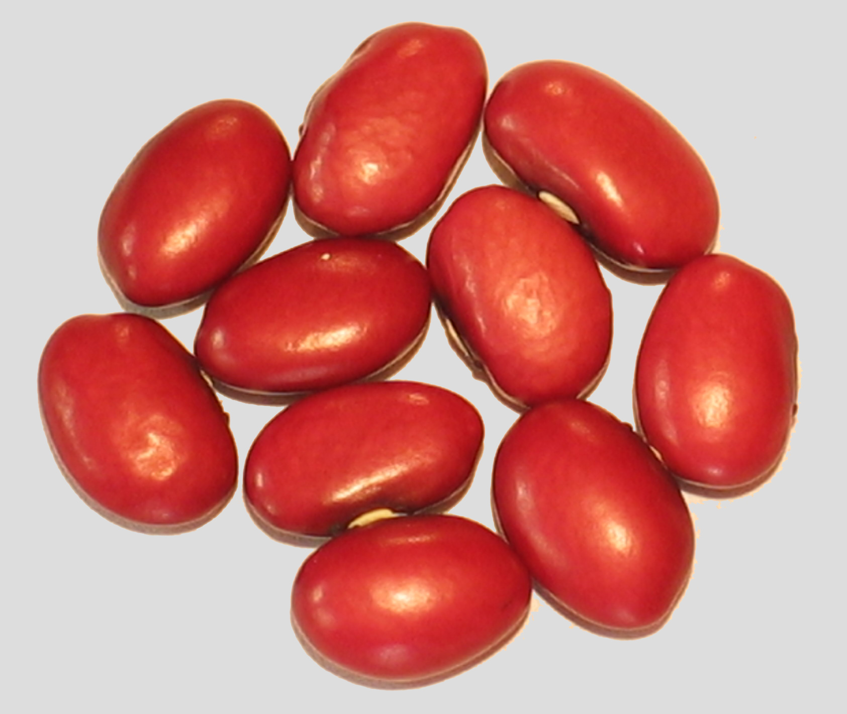 image of Burgundy Bolitas beans