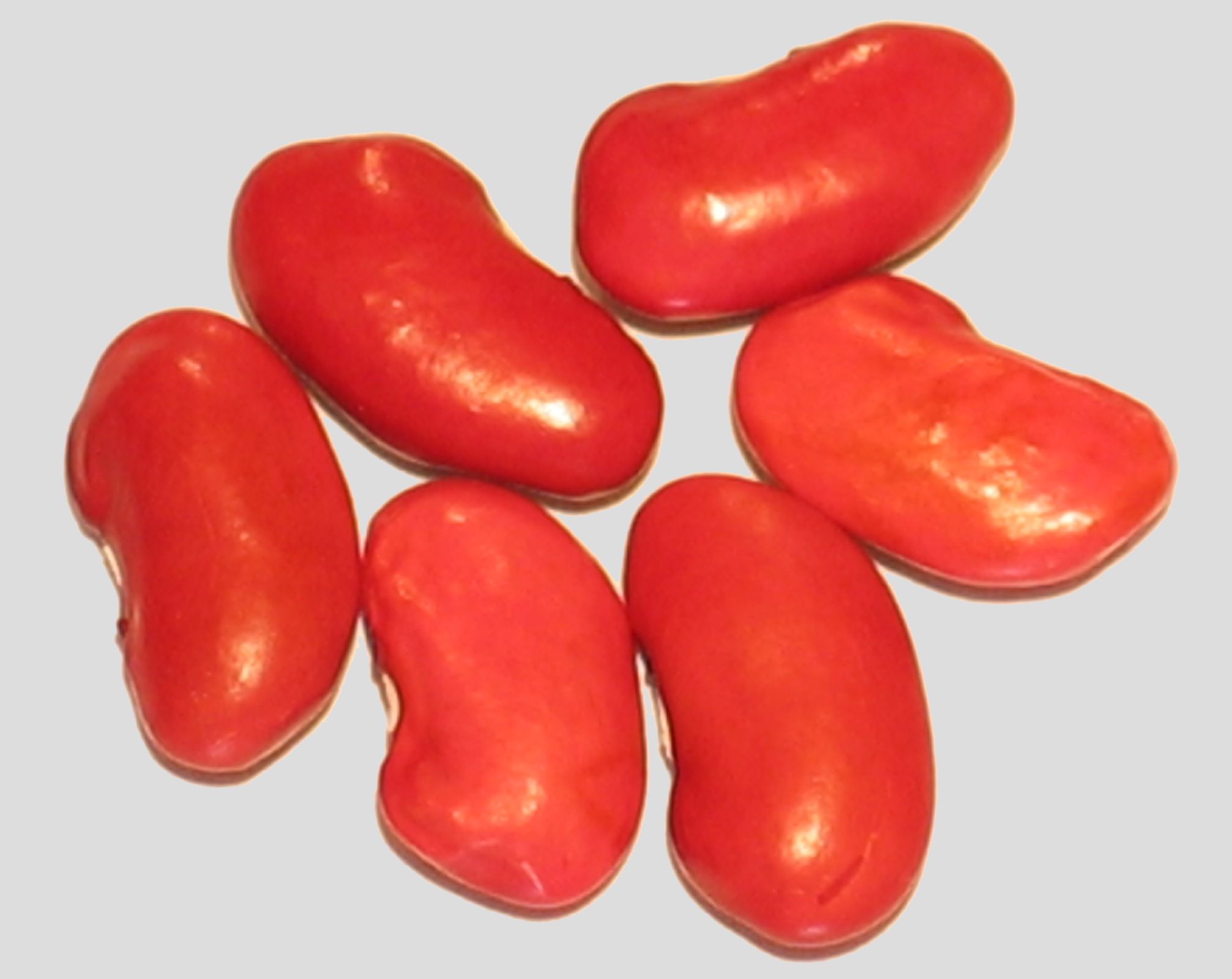 image of Burgundy Kidney beans