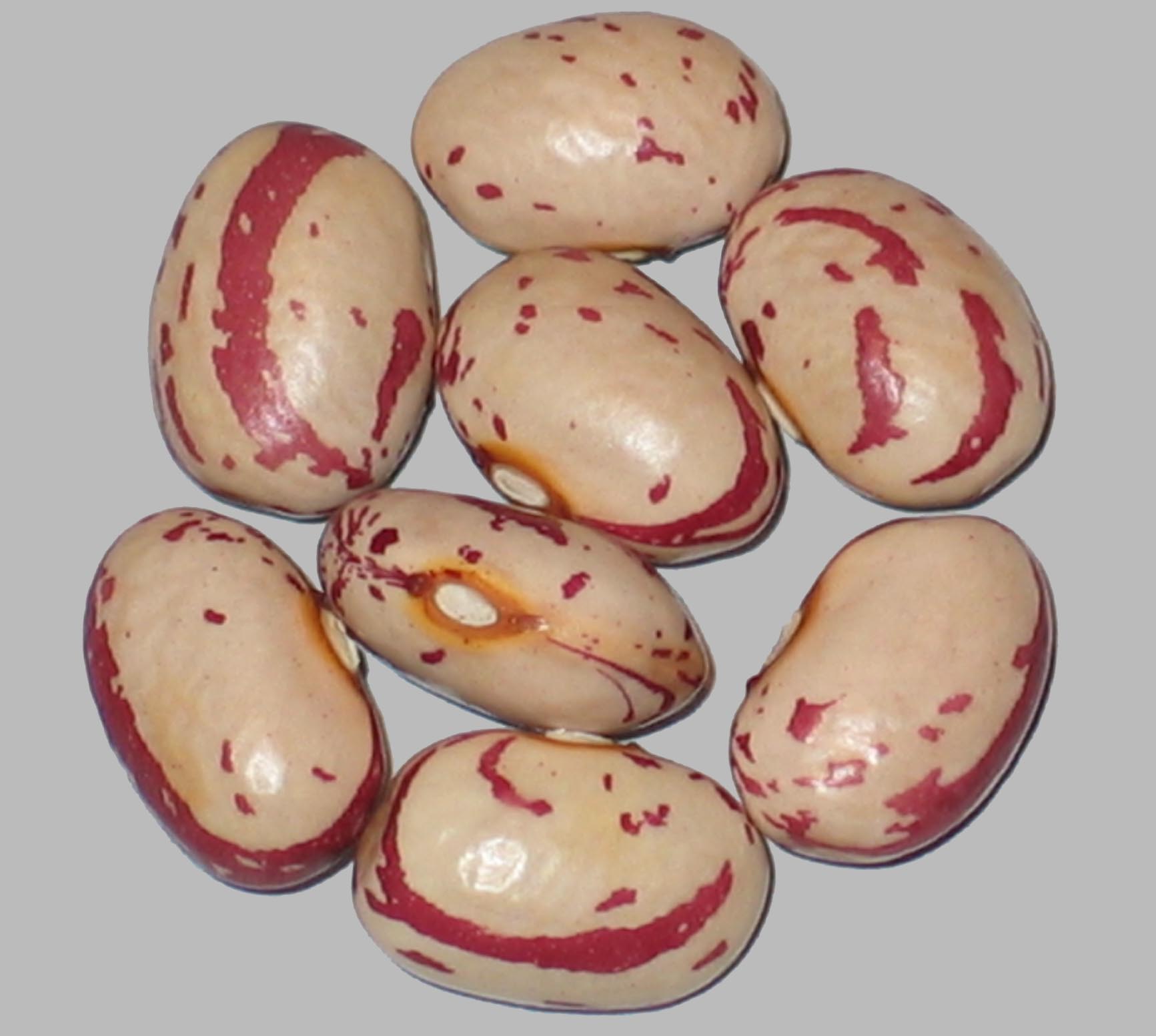 image of Capirame beans