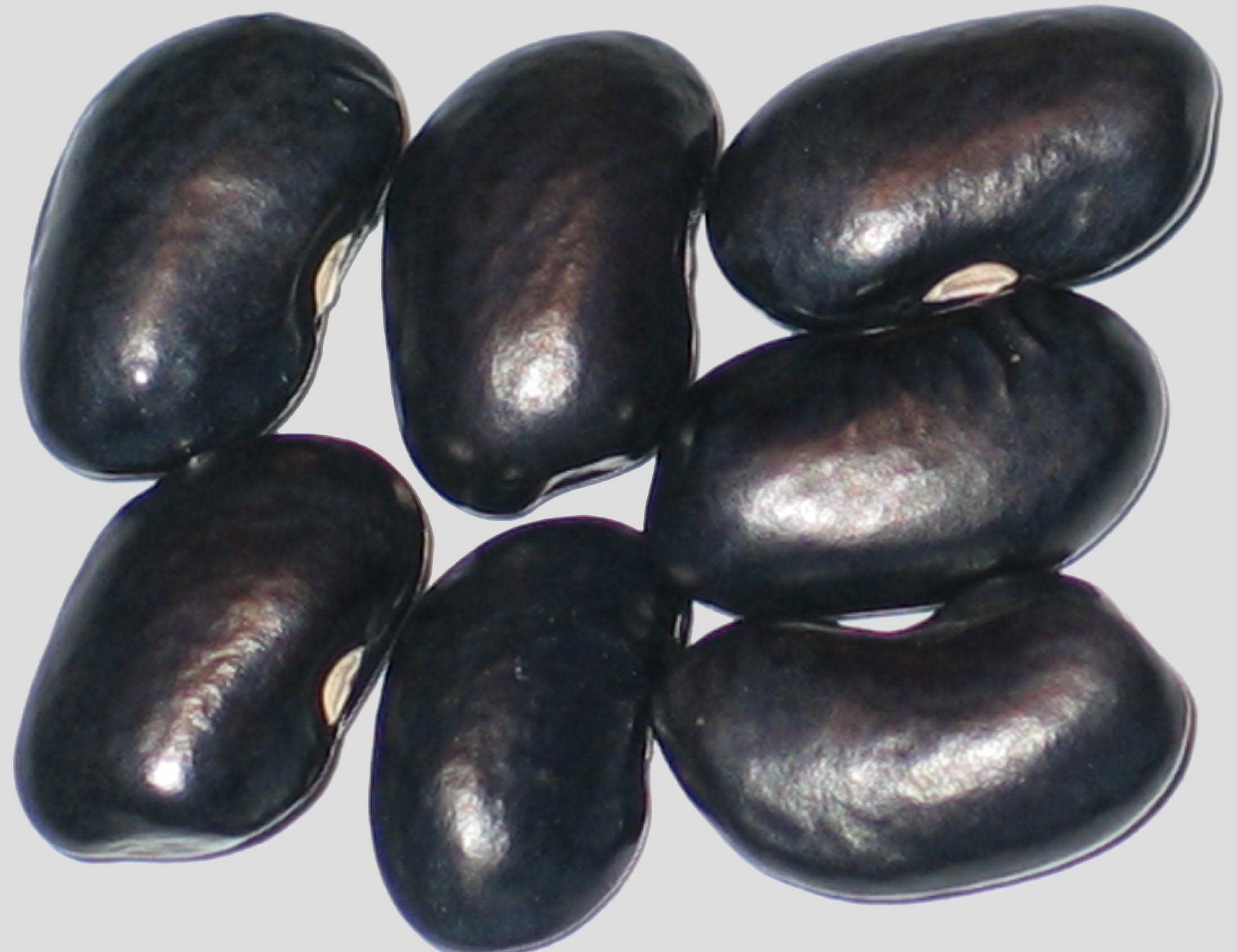 image of Chase River beans