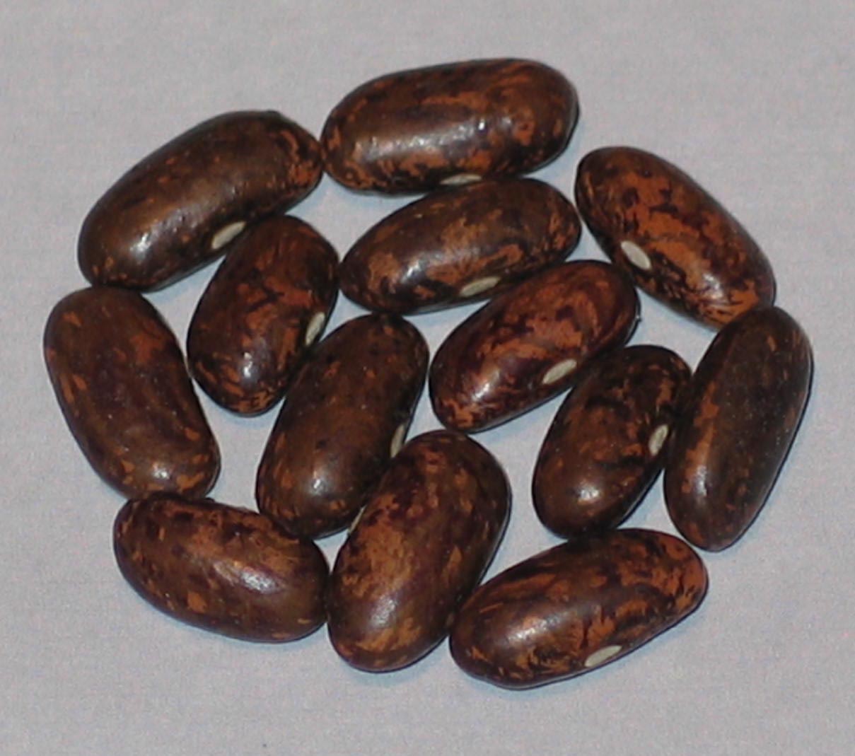 image of Chocolate Mosaic beans