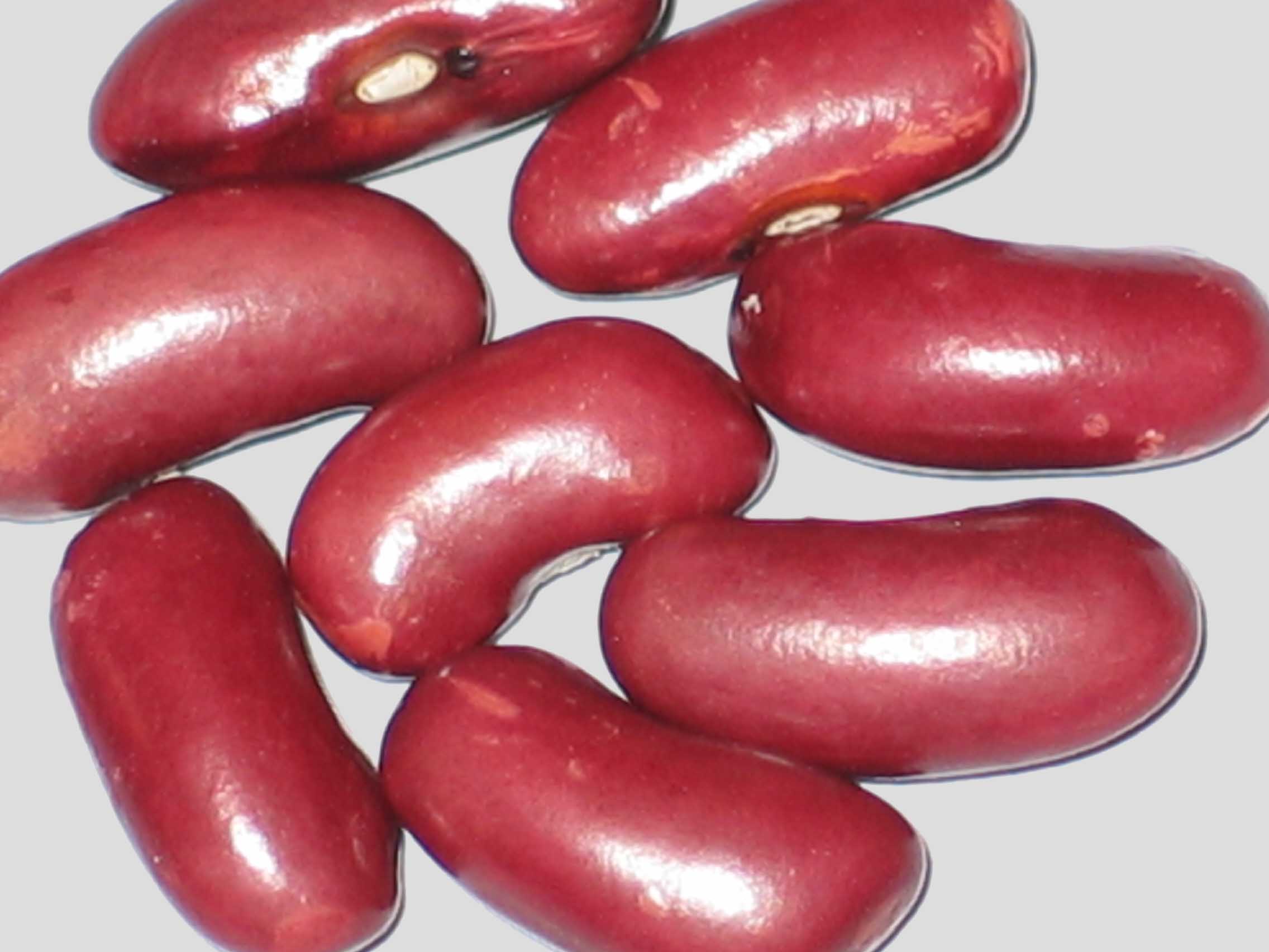 image of Clarendon Wonder beans