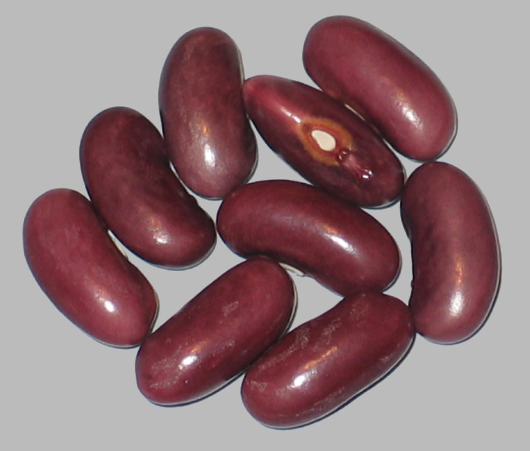image of College Early beans