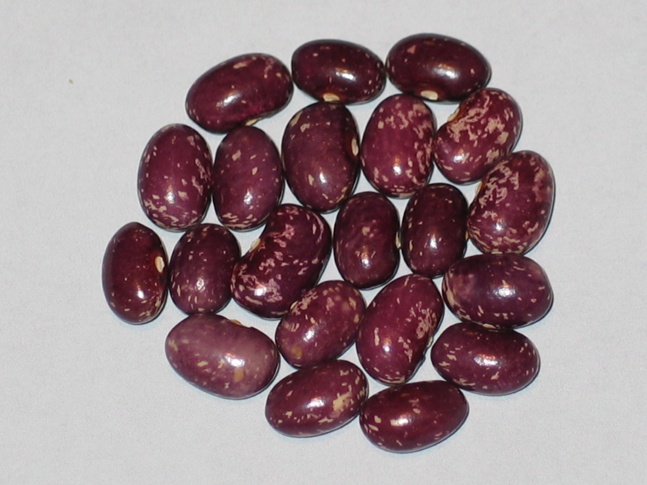 image of Crochu De Savoie beans