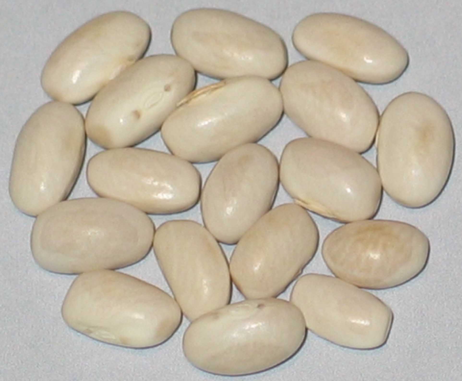 image of Crystal Wax beans