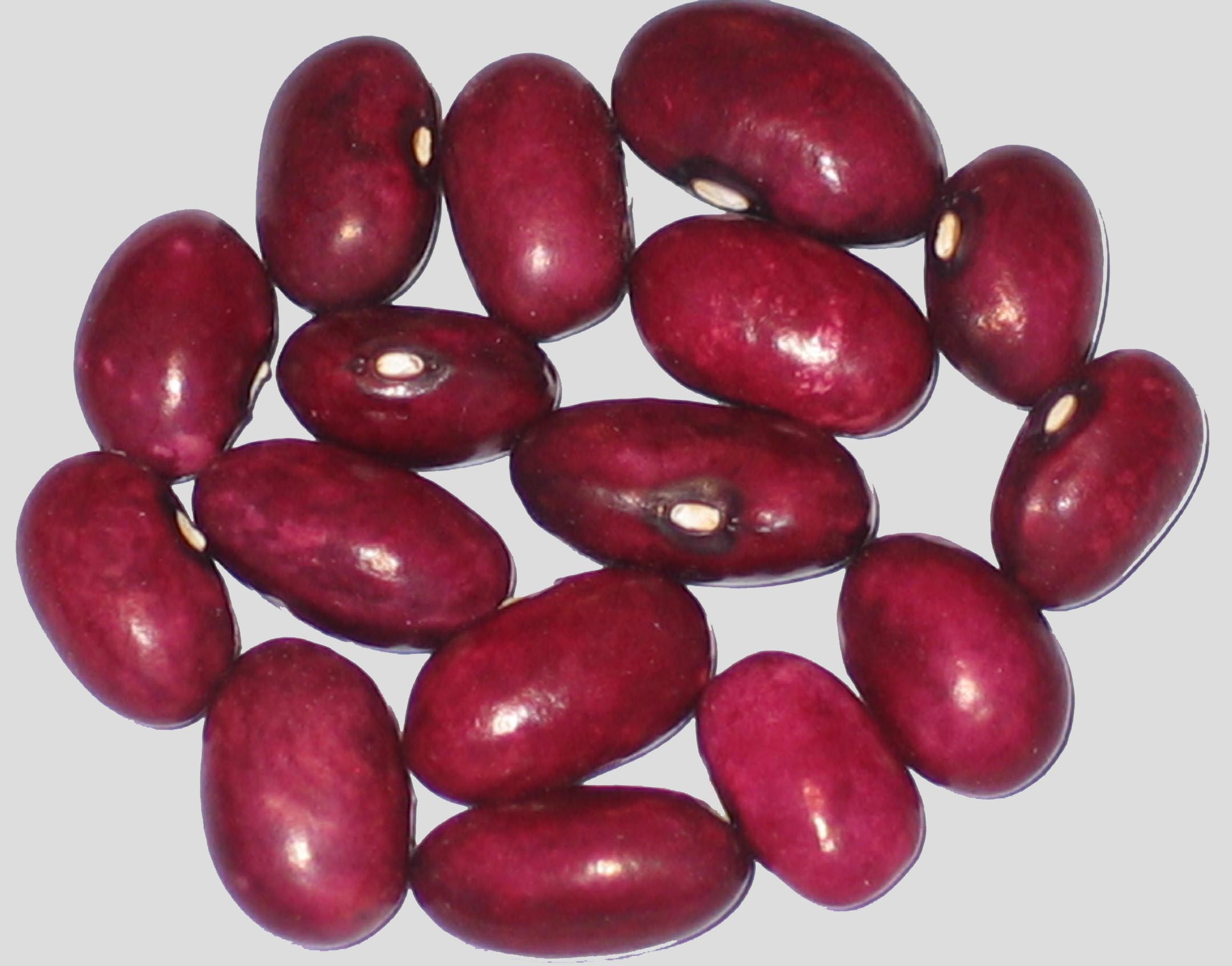 image of Flat Hollow beans