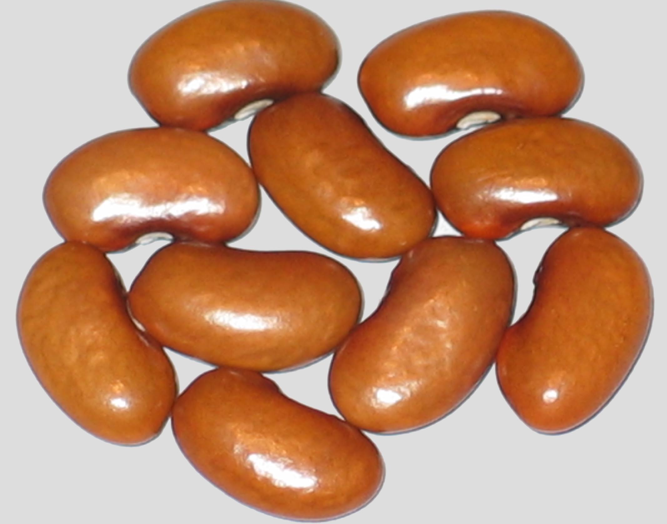 image of Flora Vista beans