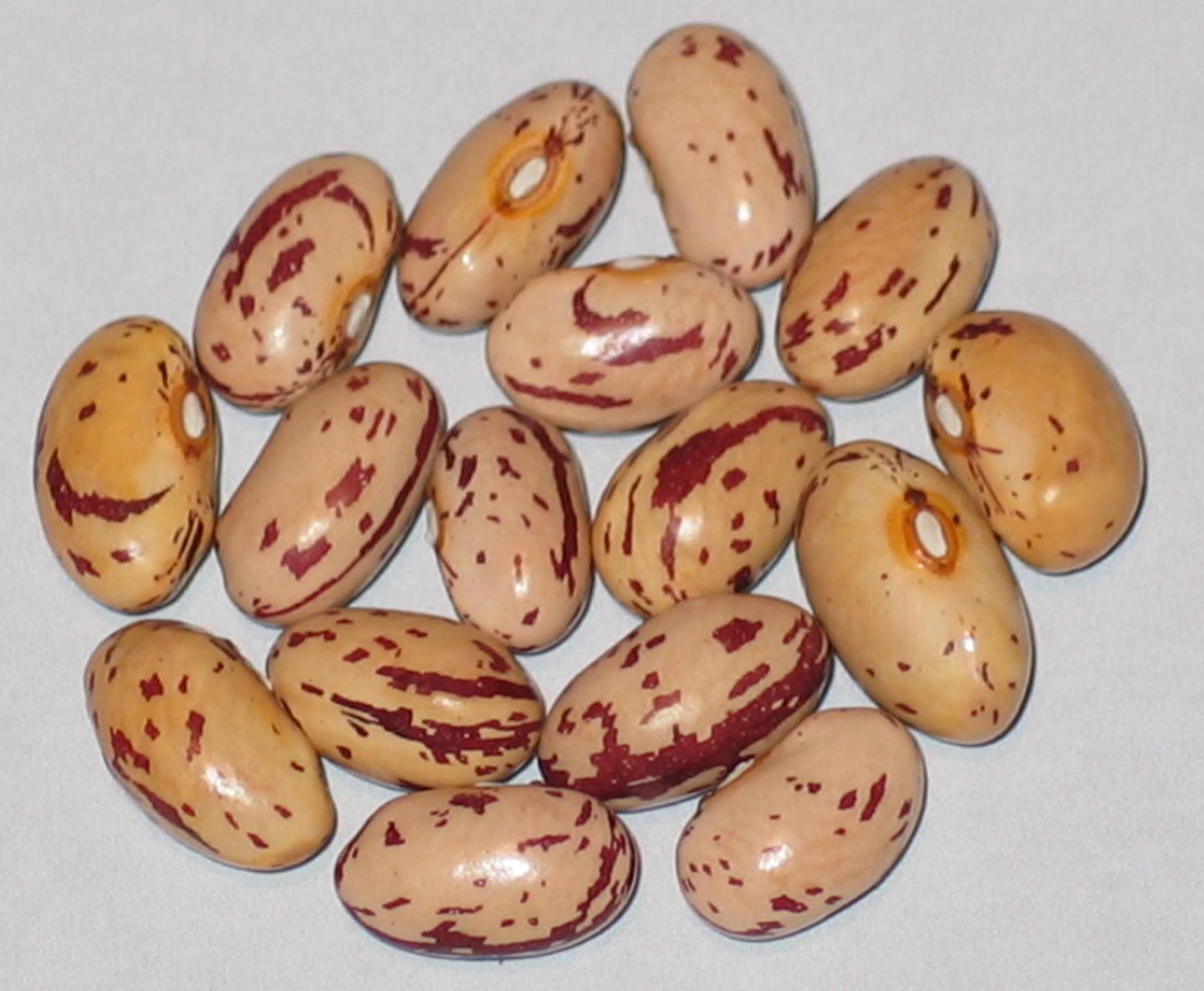 image of French Pole beans