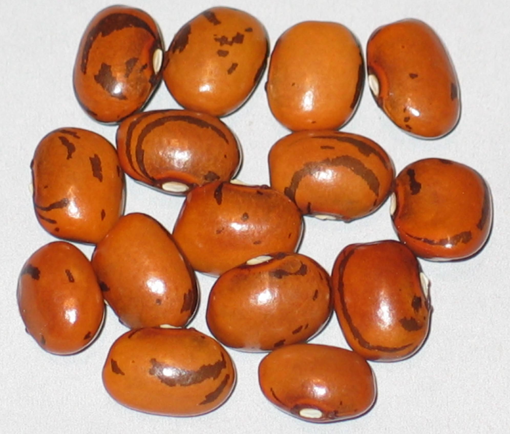 image of Geradi beans