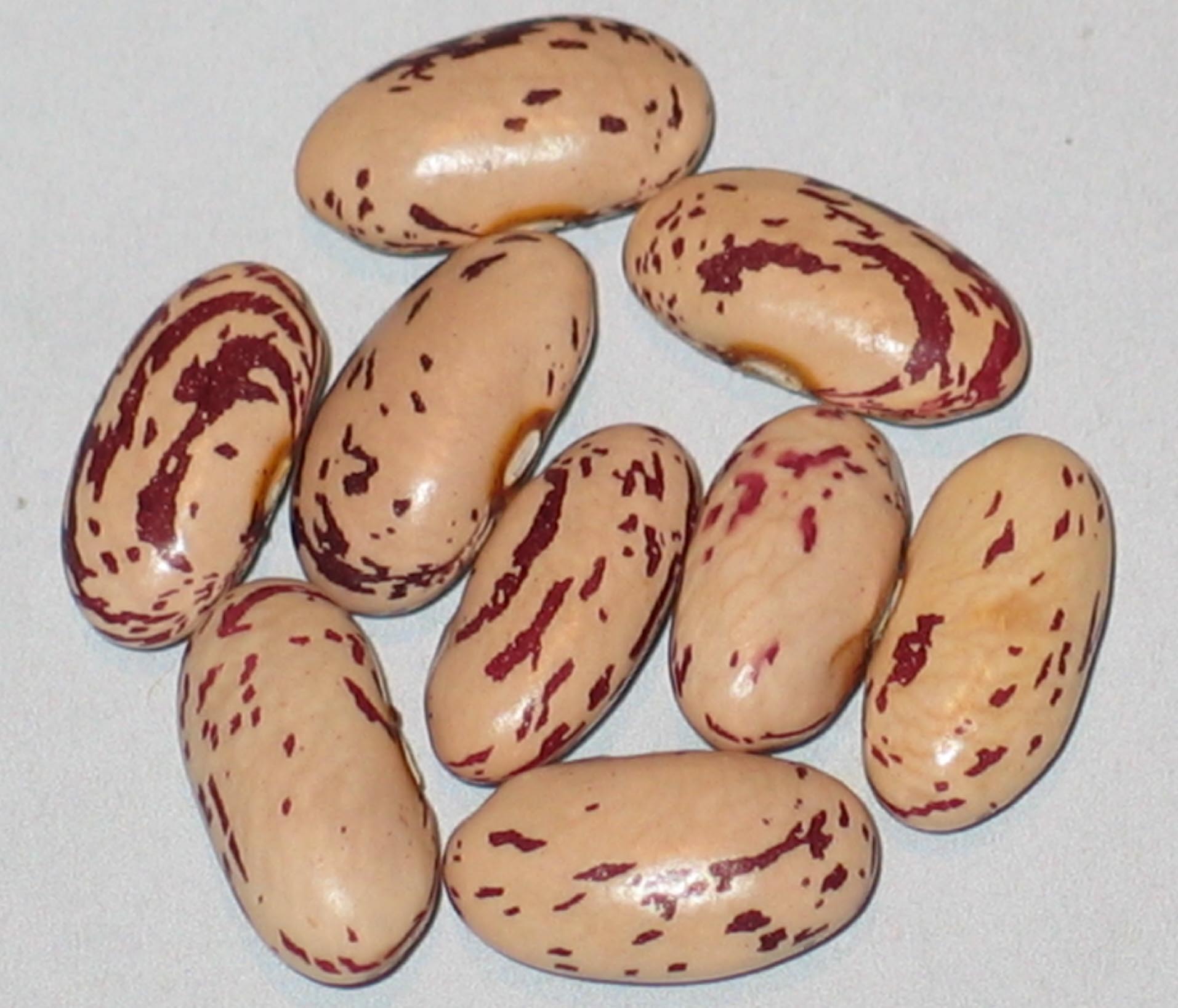 image of Goose Liver beans