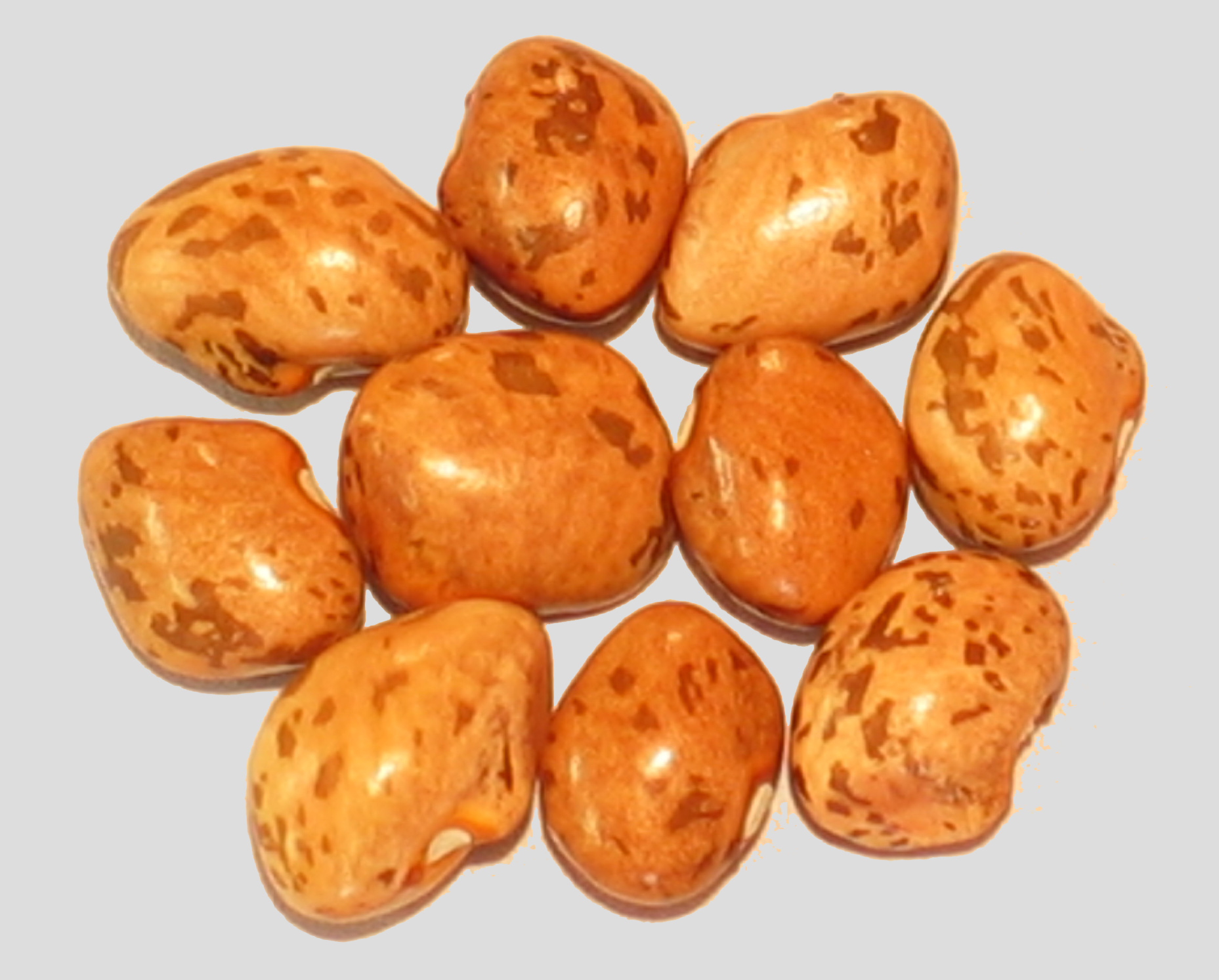 image of Greasy Grits beans