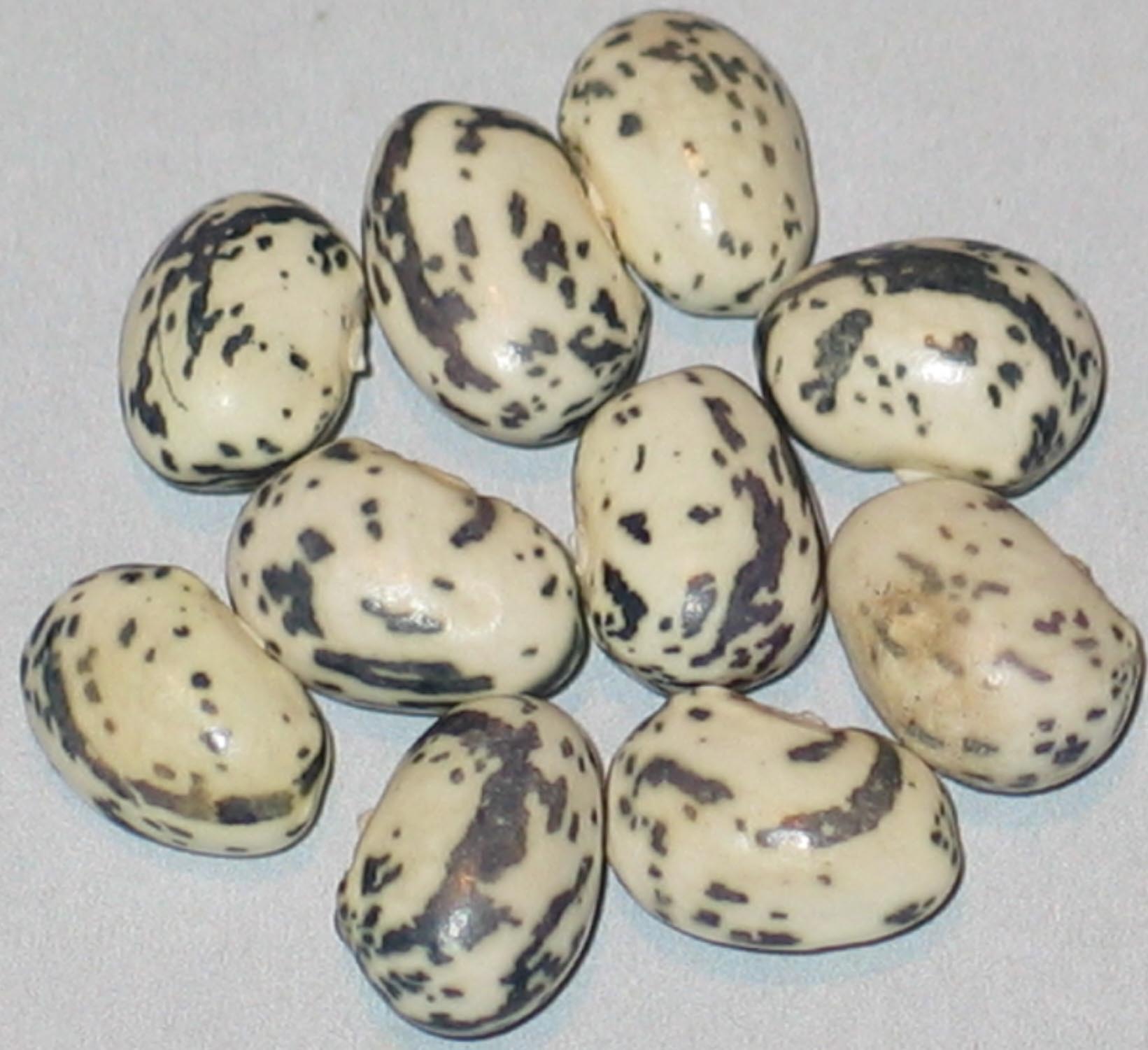 image of Hallados Grandos beans