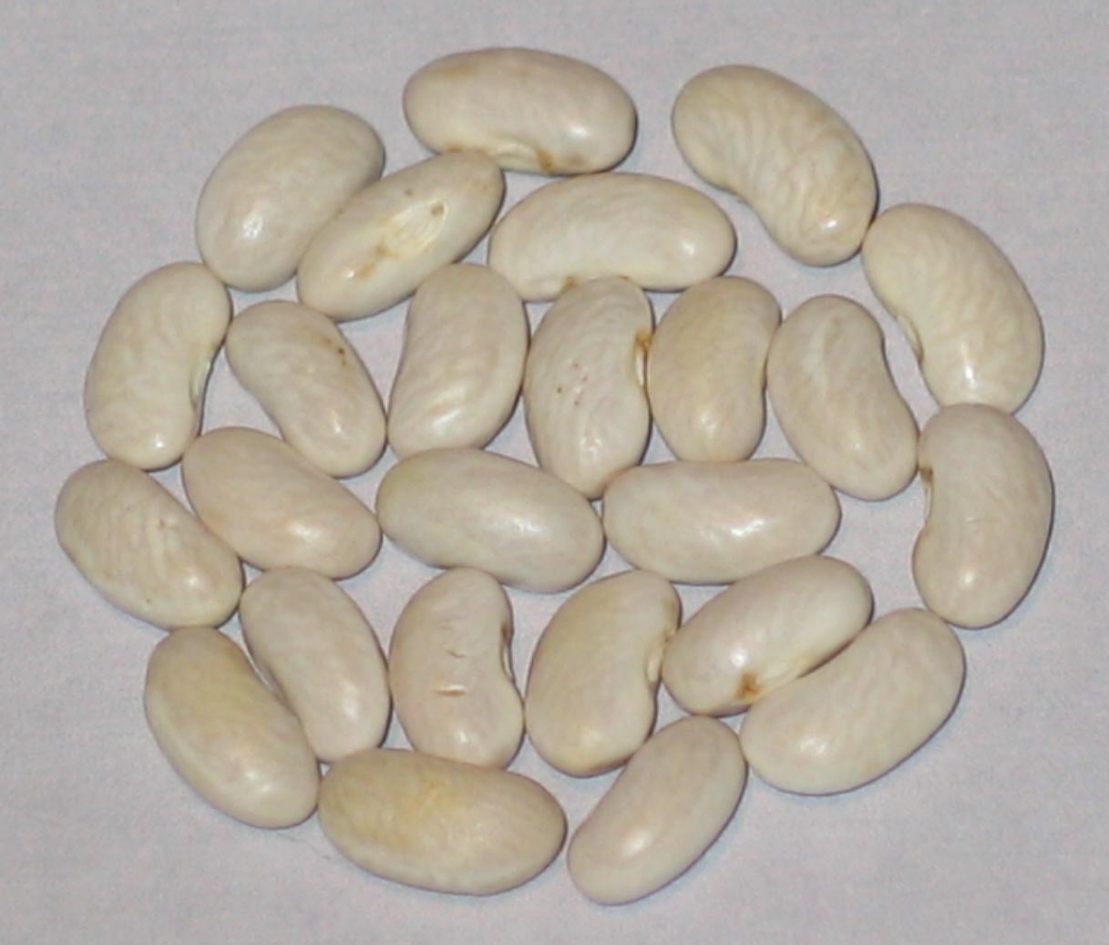 image of Hastings beans