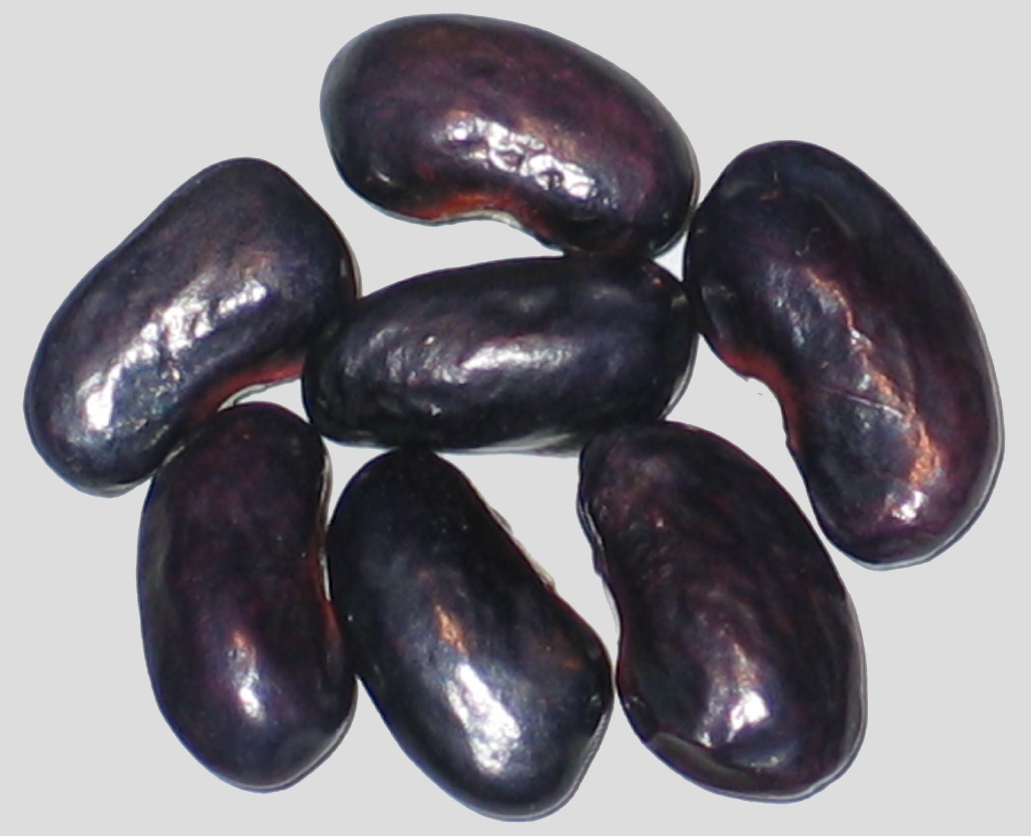image of Highlight beans