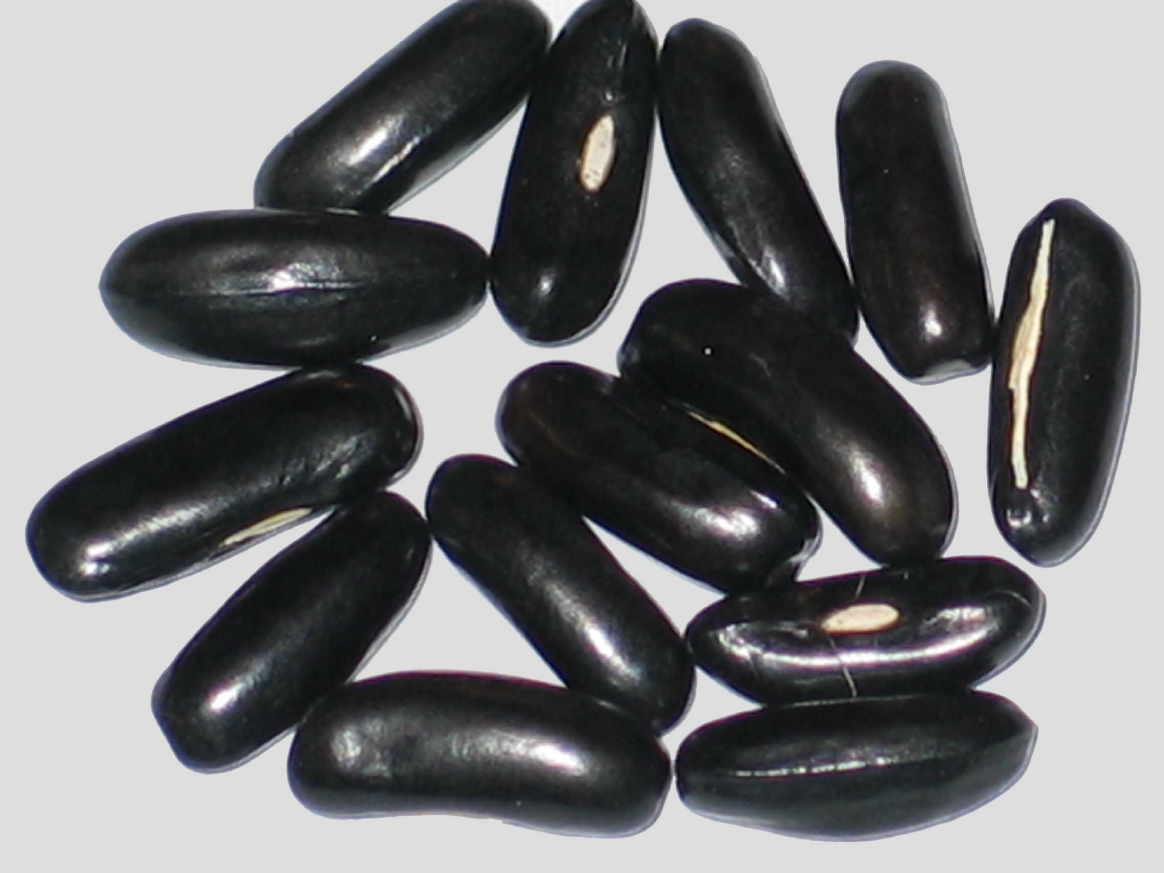 image of Honey Keygold beans