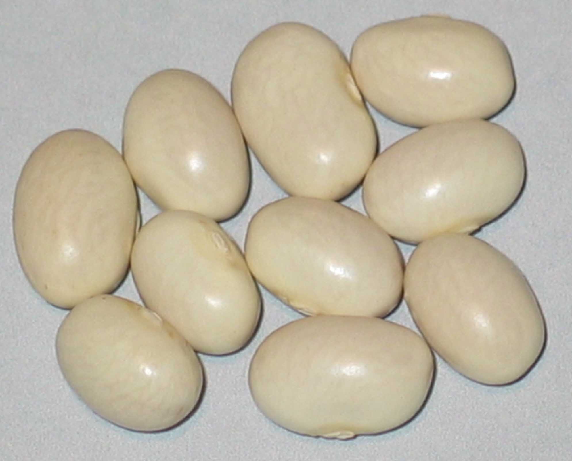 image of Idaho Marrow beans