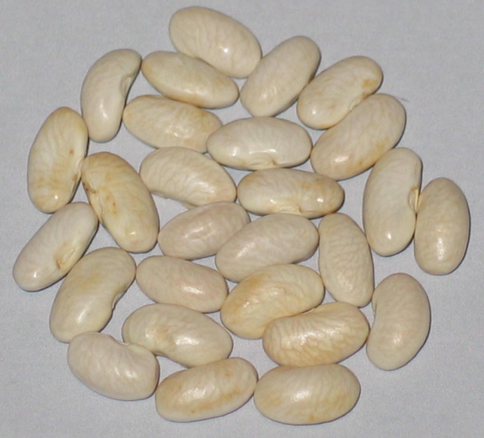 image of Ilene beans