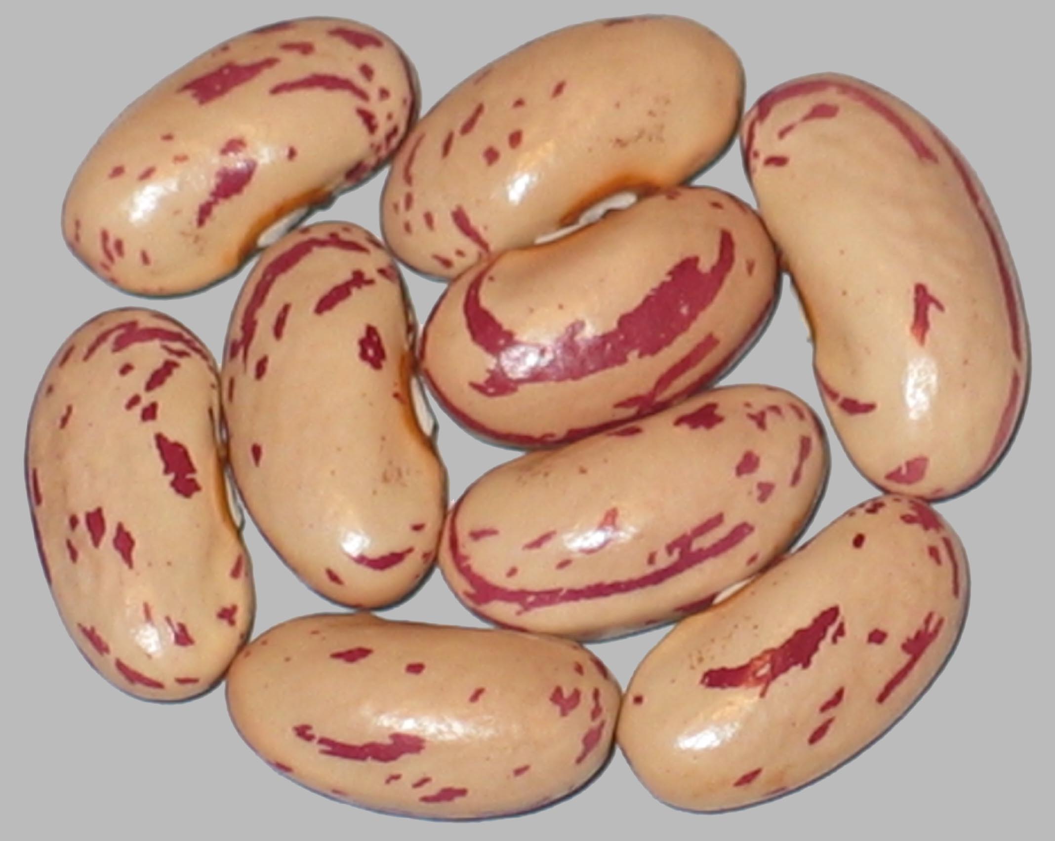image of Irenes Russian beans