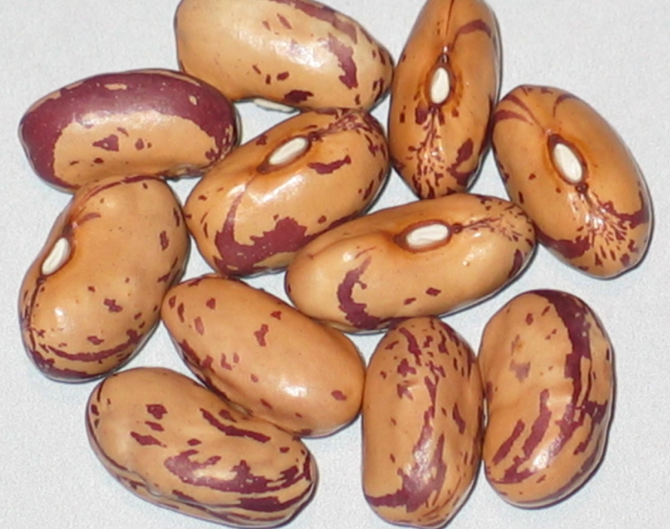 image of Jas beans
