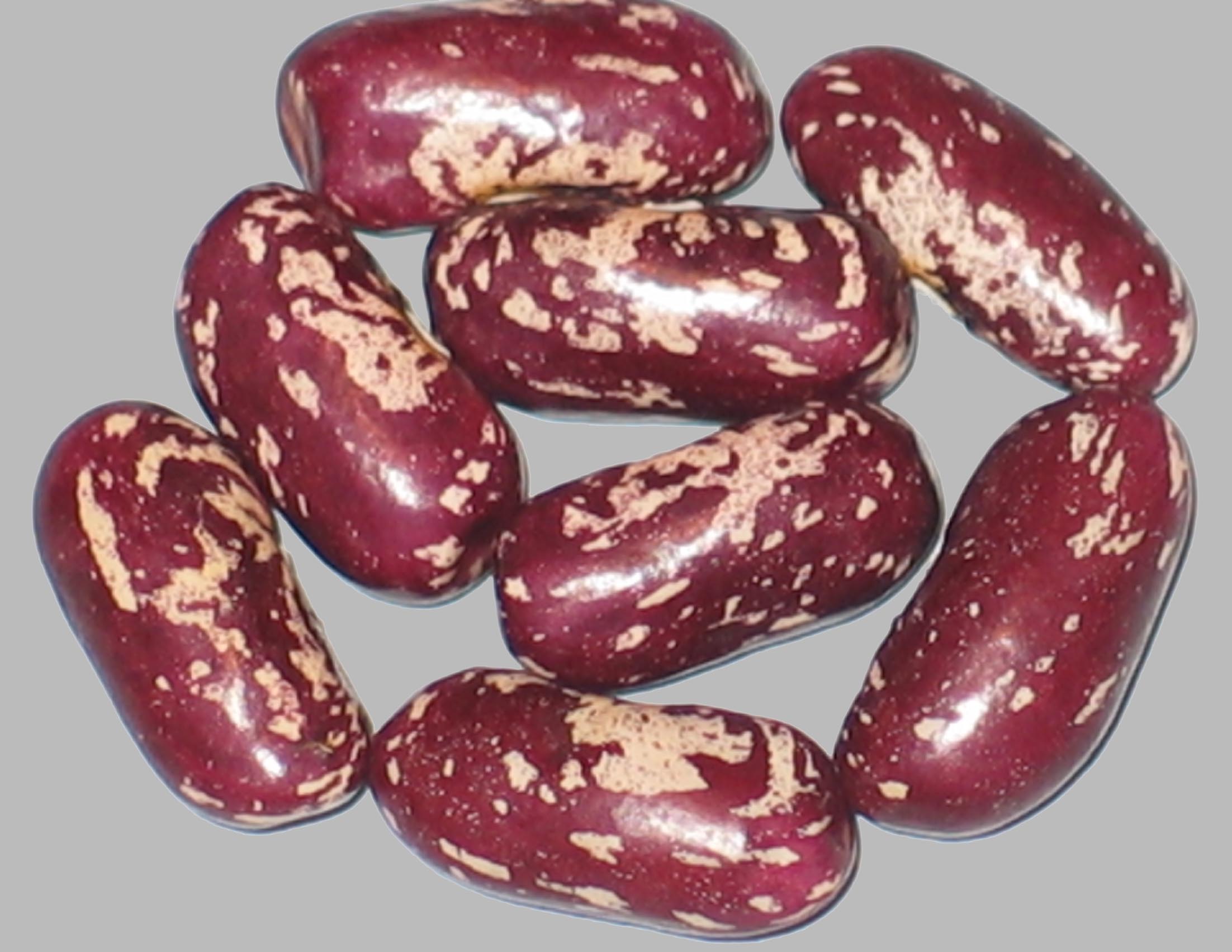 image of Mangetout Pleine Le Panier beans