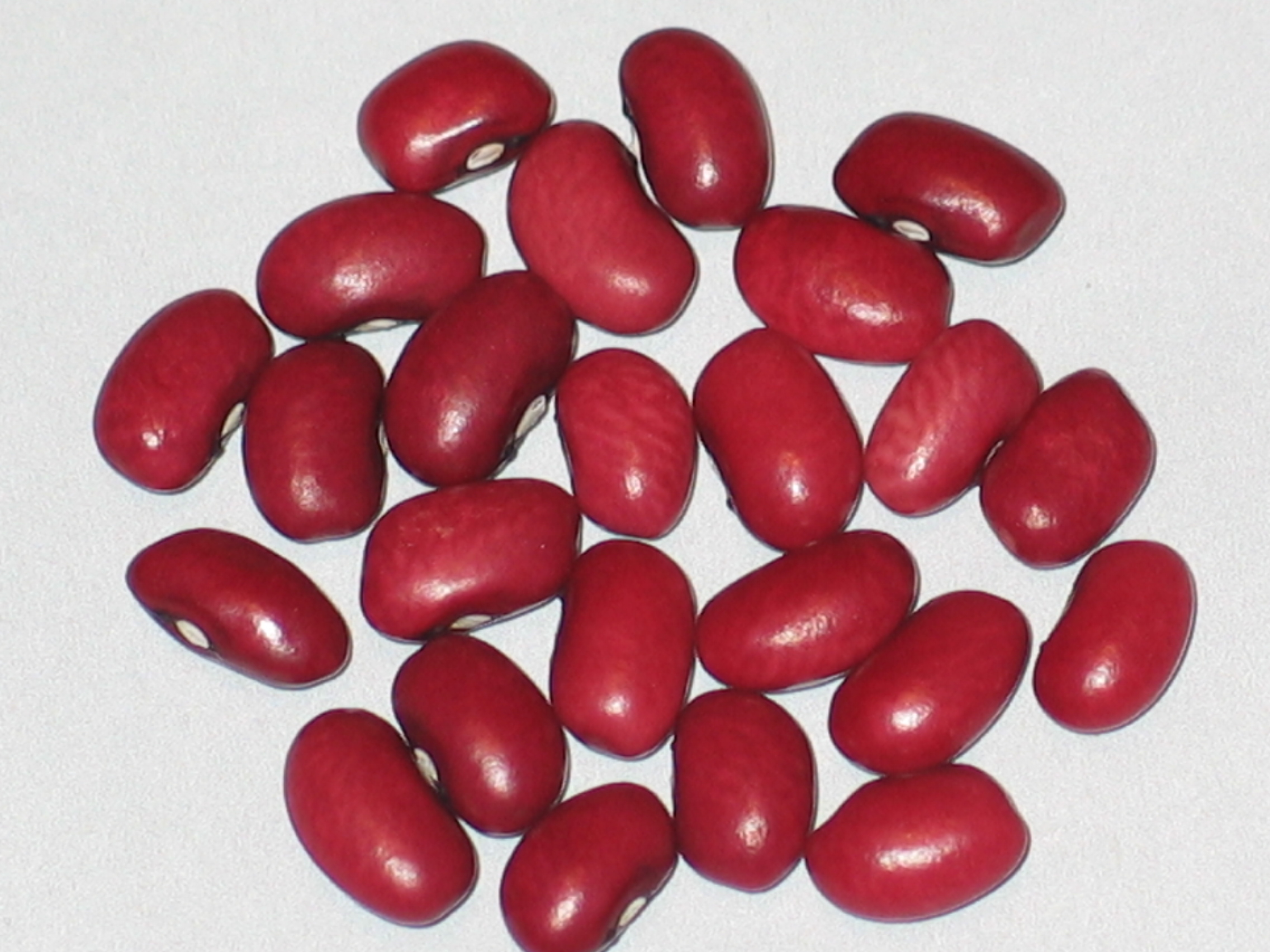 image of Mantecossa De Aragon beans