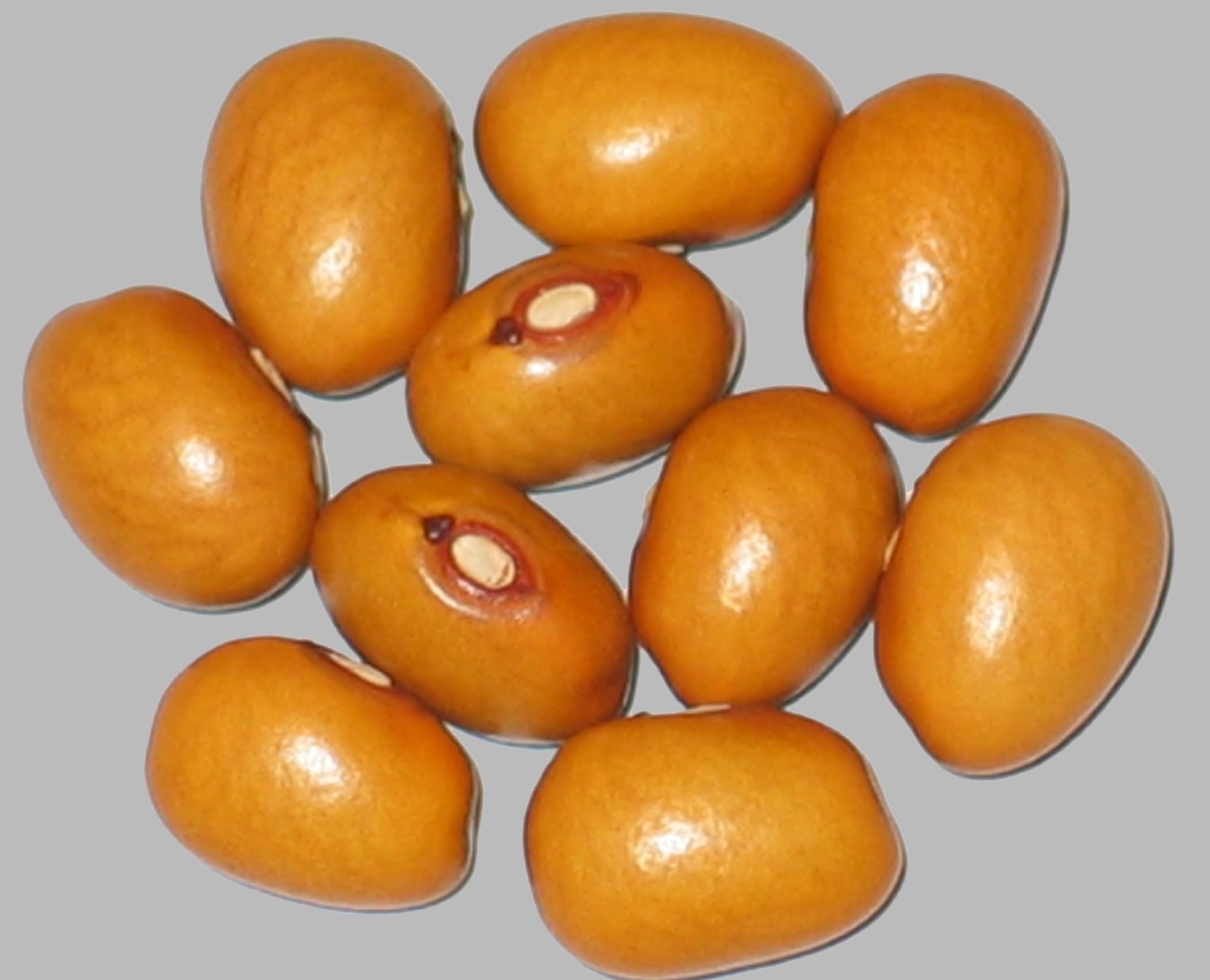 image of Marfax beans