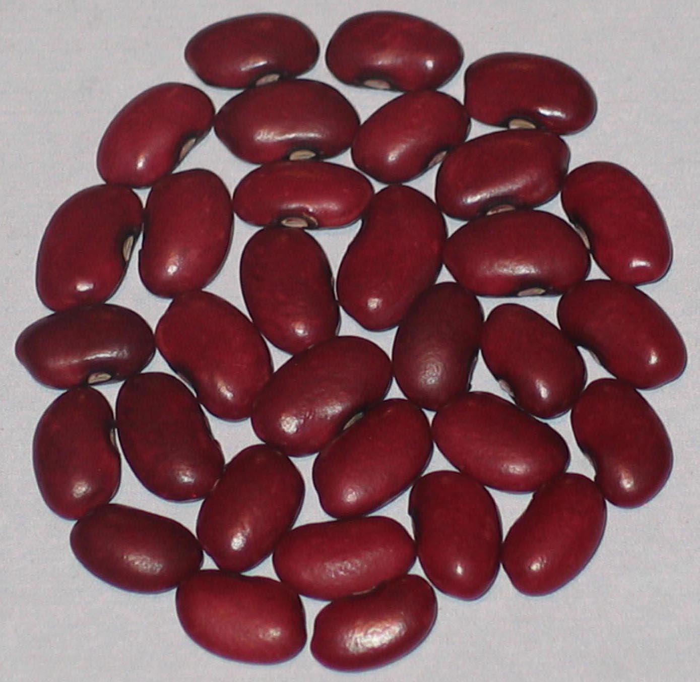 image of Mayacoba beans