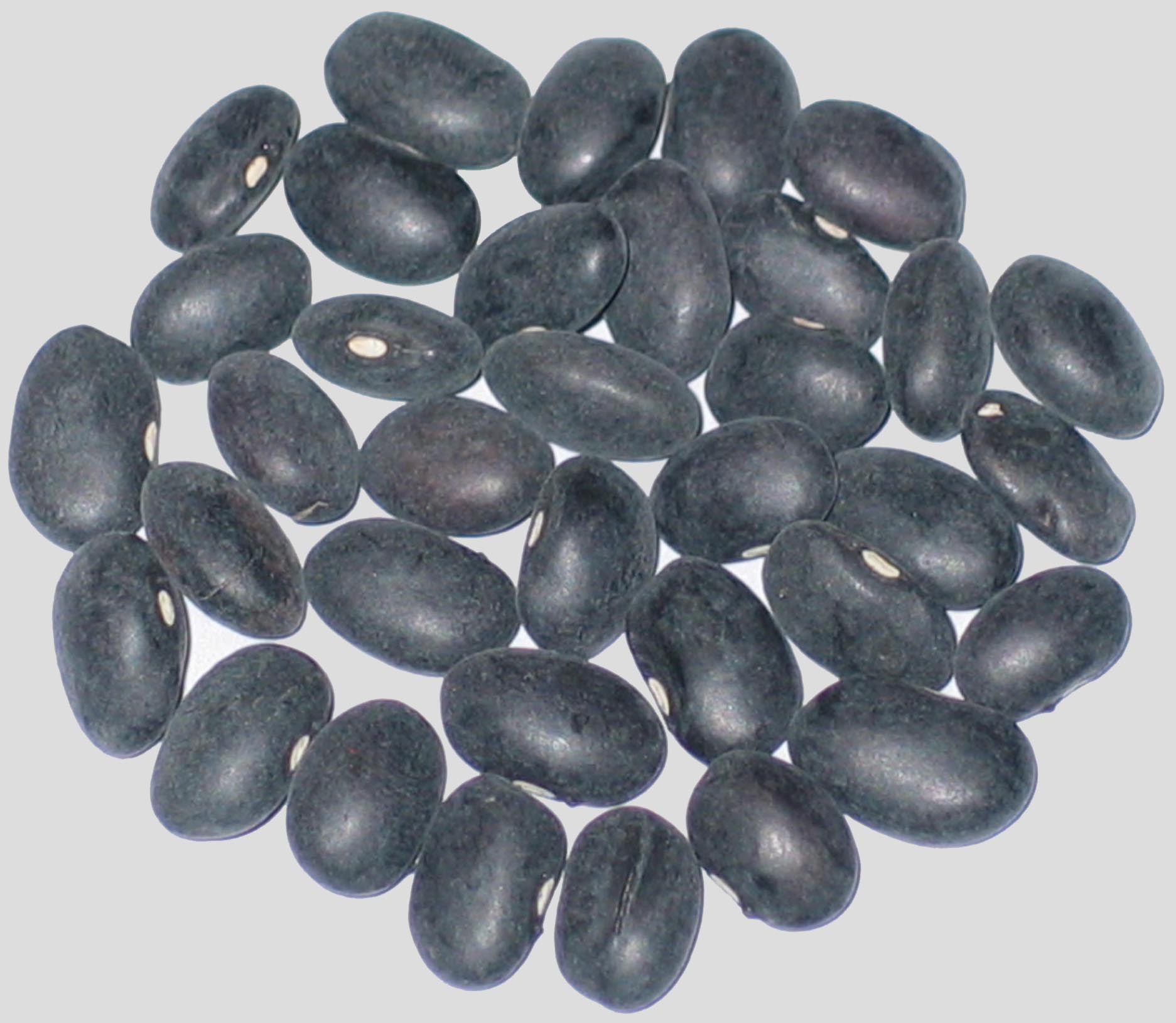image of Millenium beans