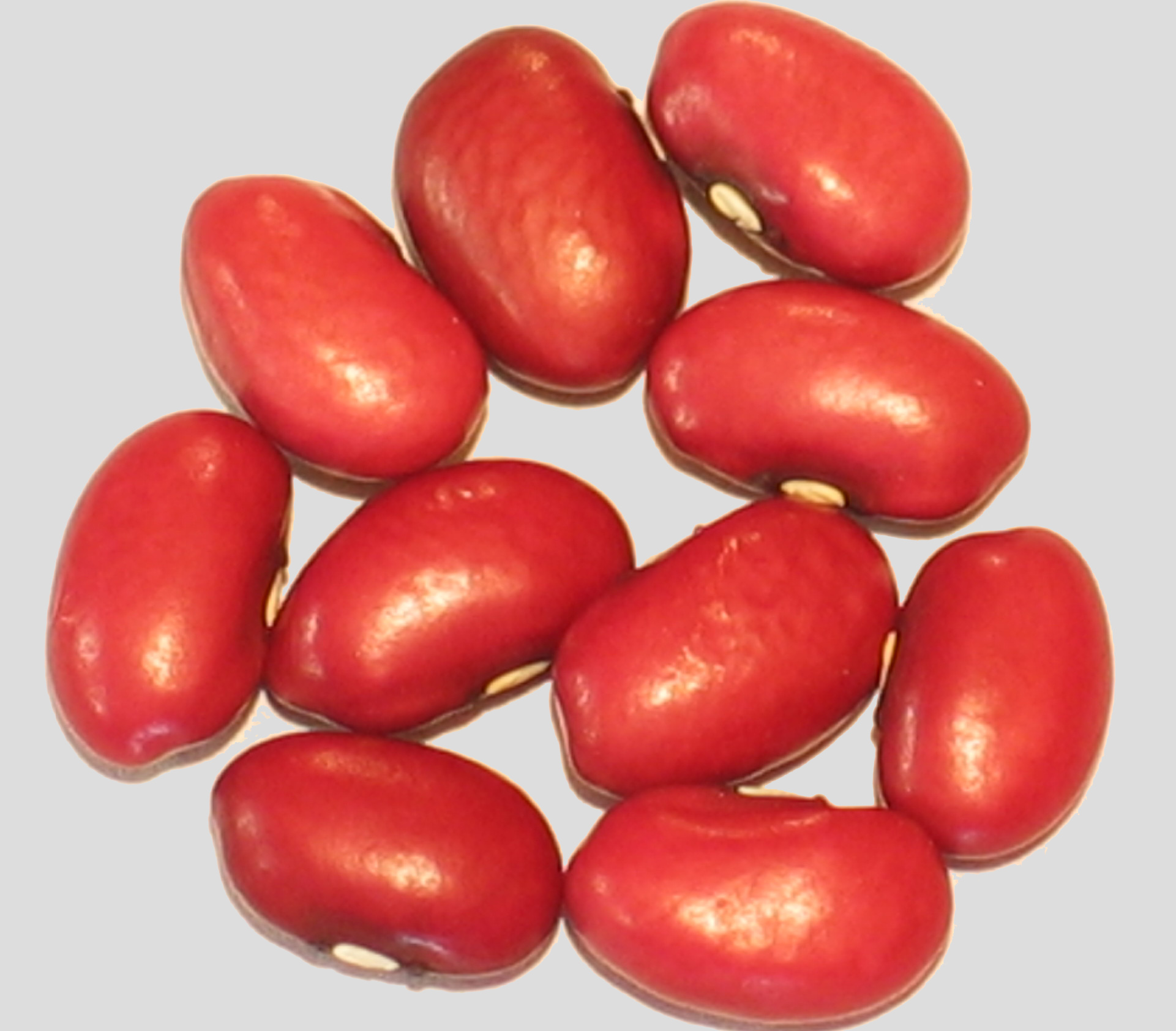 image of Montezuma Red beans