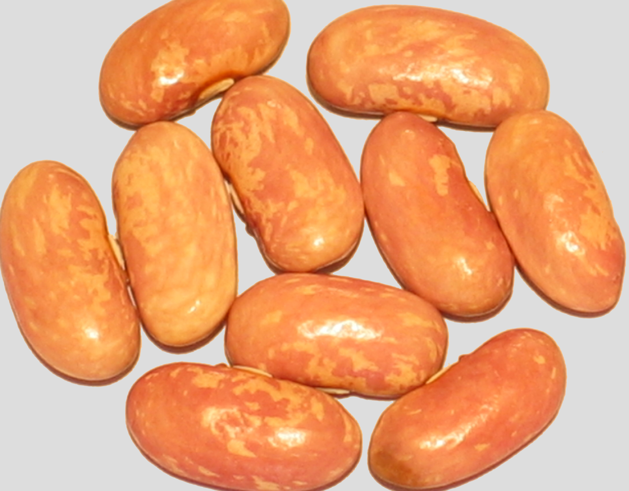 image of Mpumalanga Boonjies beans