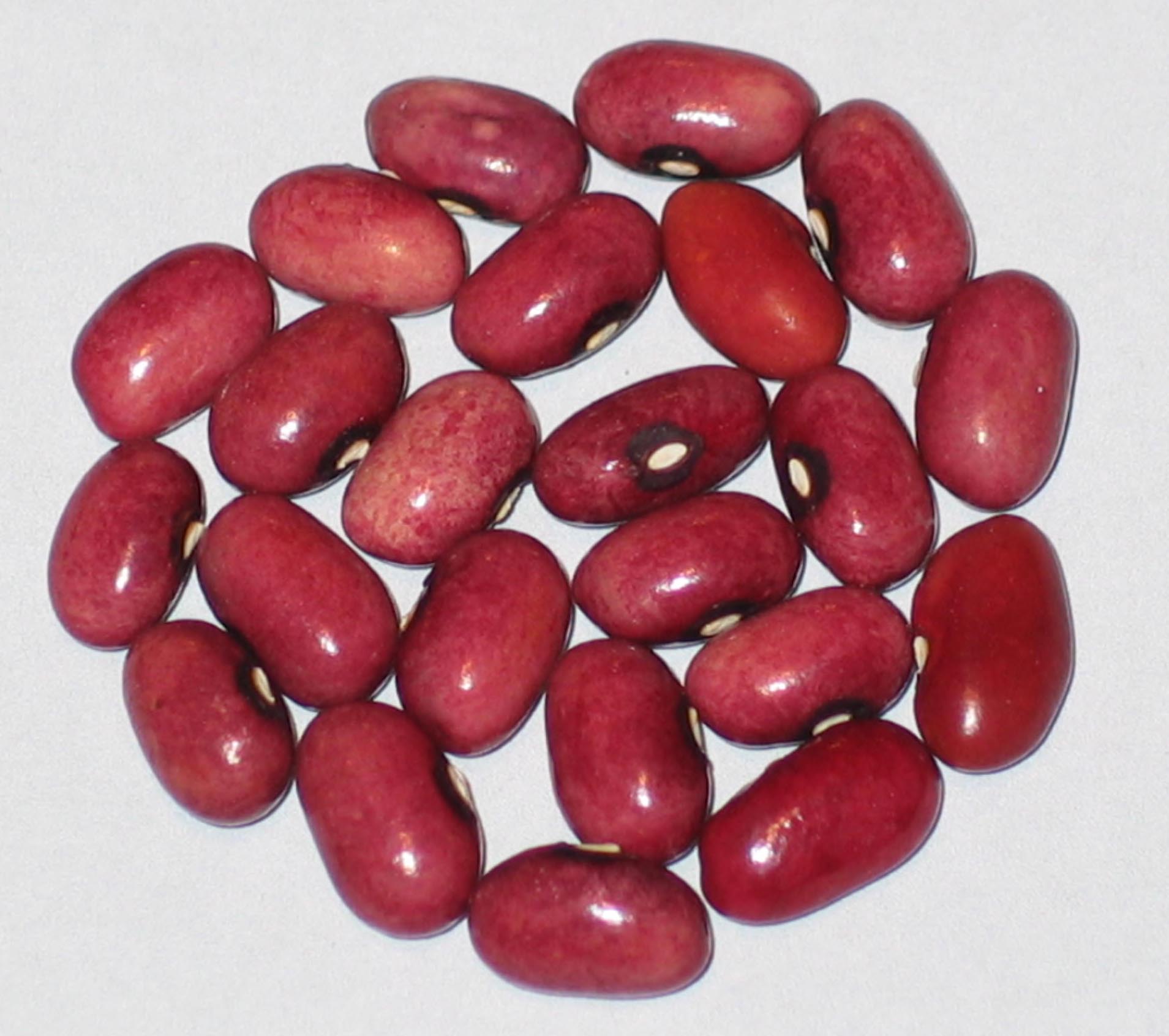 image of Muriel beans